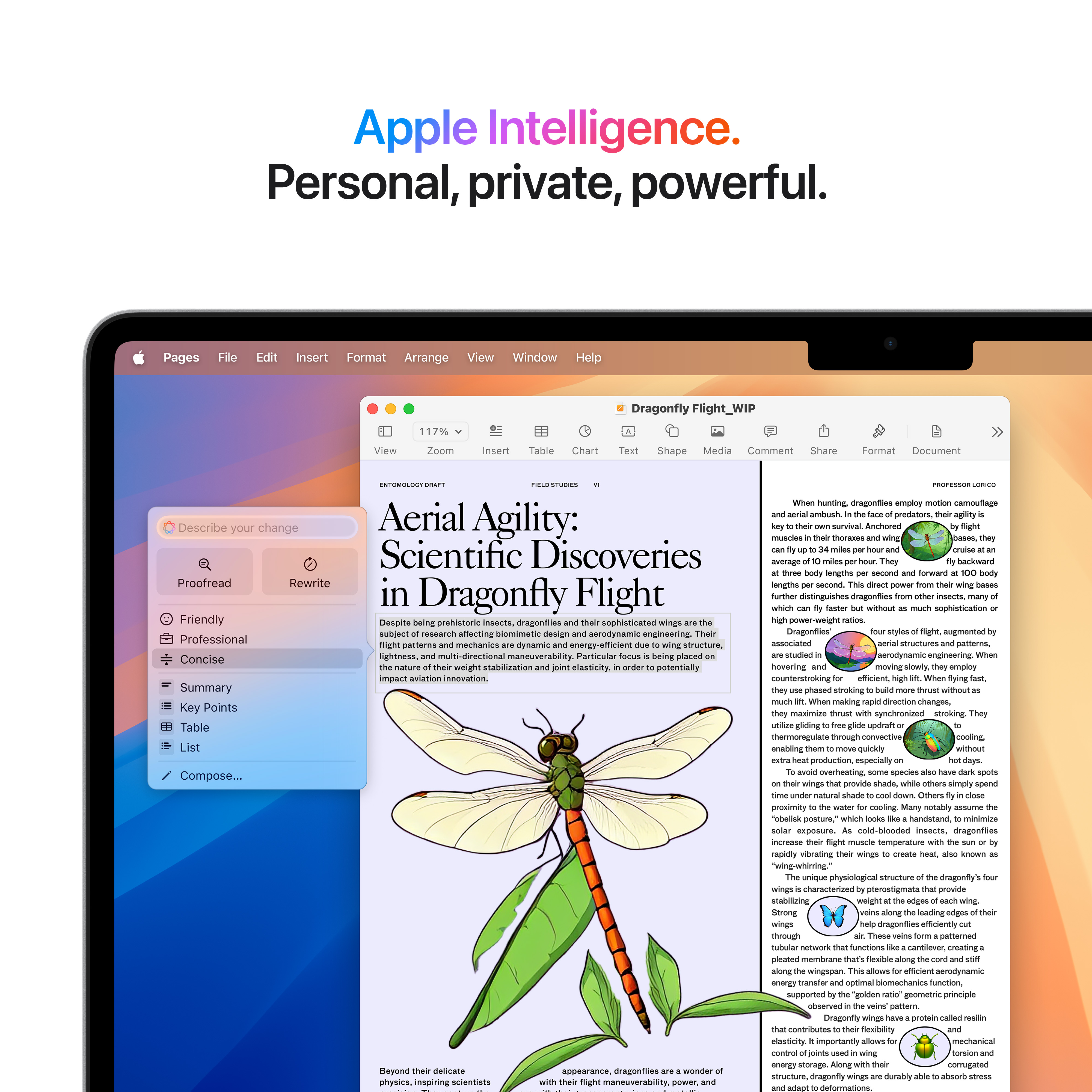 Un écran d'ordinateur portable ouvert avec un document. Une illustration de libellule est à l'écran.