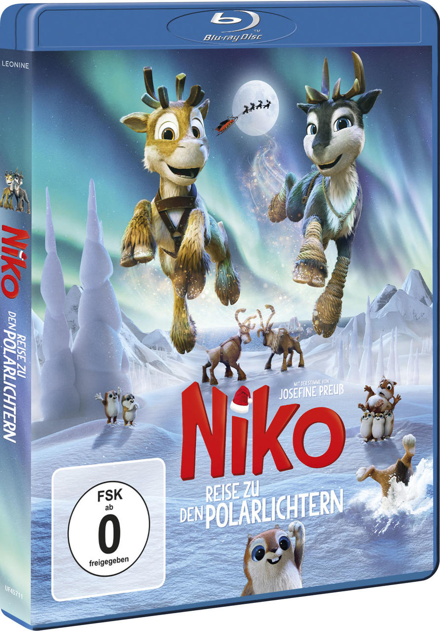 Filmcover eines Zeichentrick-Rentierfilms mit Schnee und Nordlichtern, mit Text auf Deutsch.
