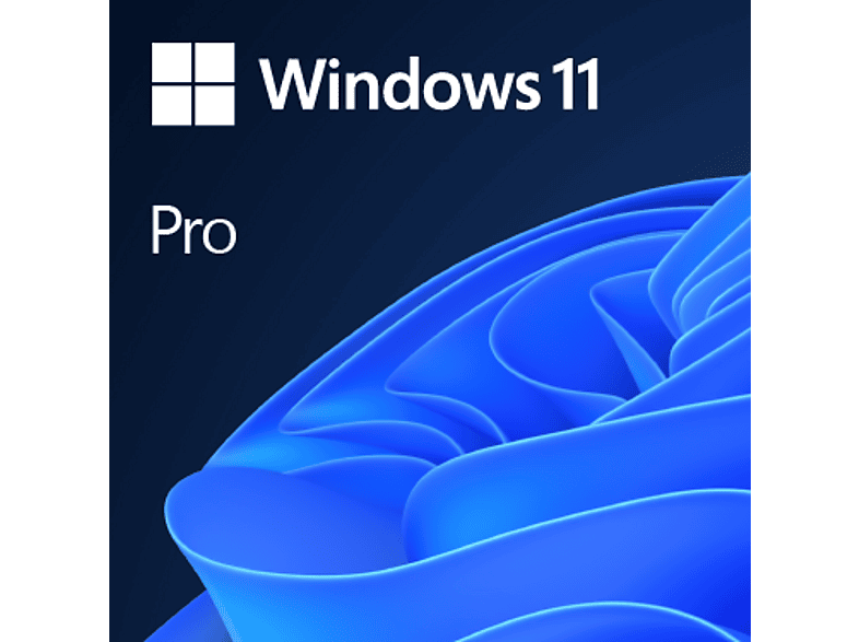 Microsoft Windows 11 Pro