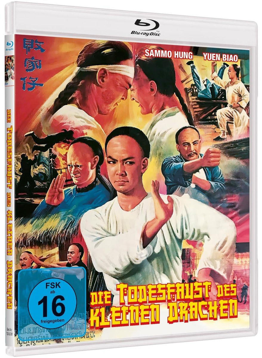 DVD-Cover eines Films mit kämpfenden Personen.