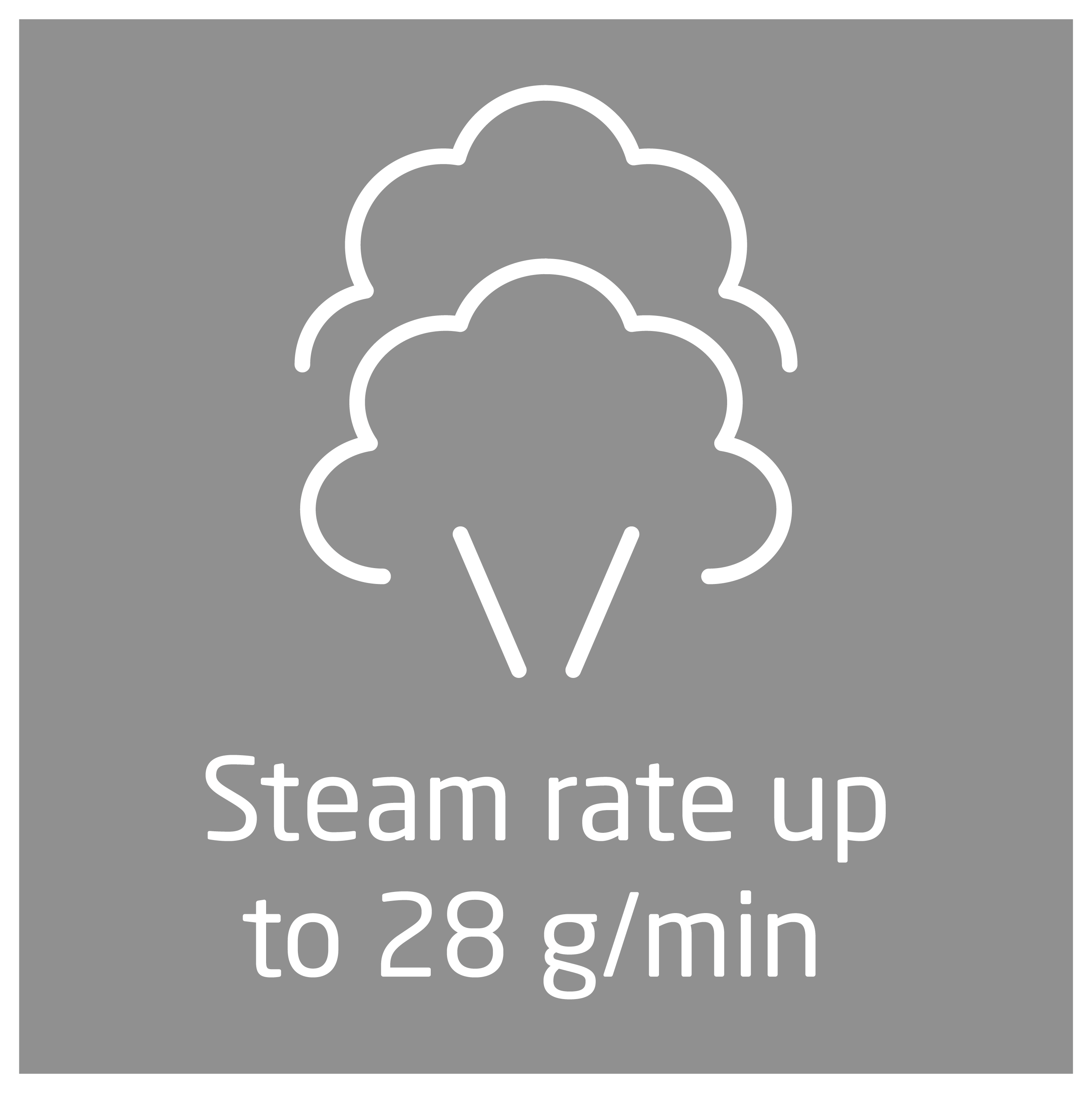 Dampfrate bis zu 28 g/min.