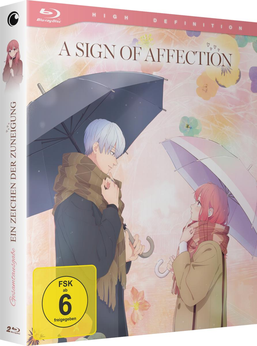 Ein Blu-ray-Box-Set eines Animes mit zwei Figuren unter Schirmen.