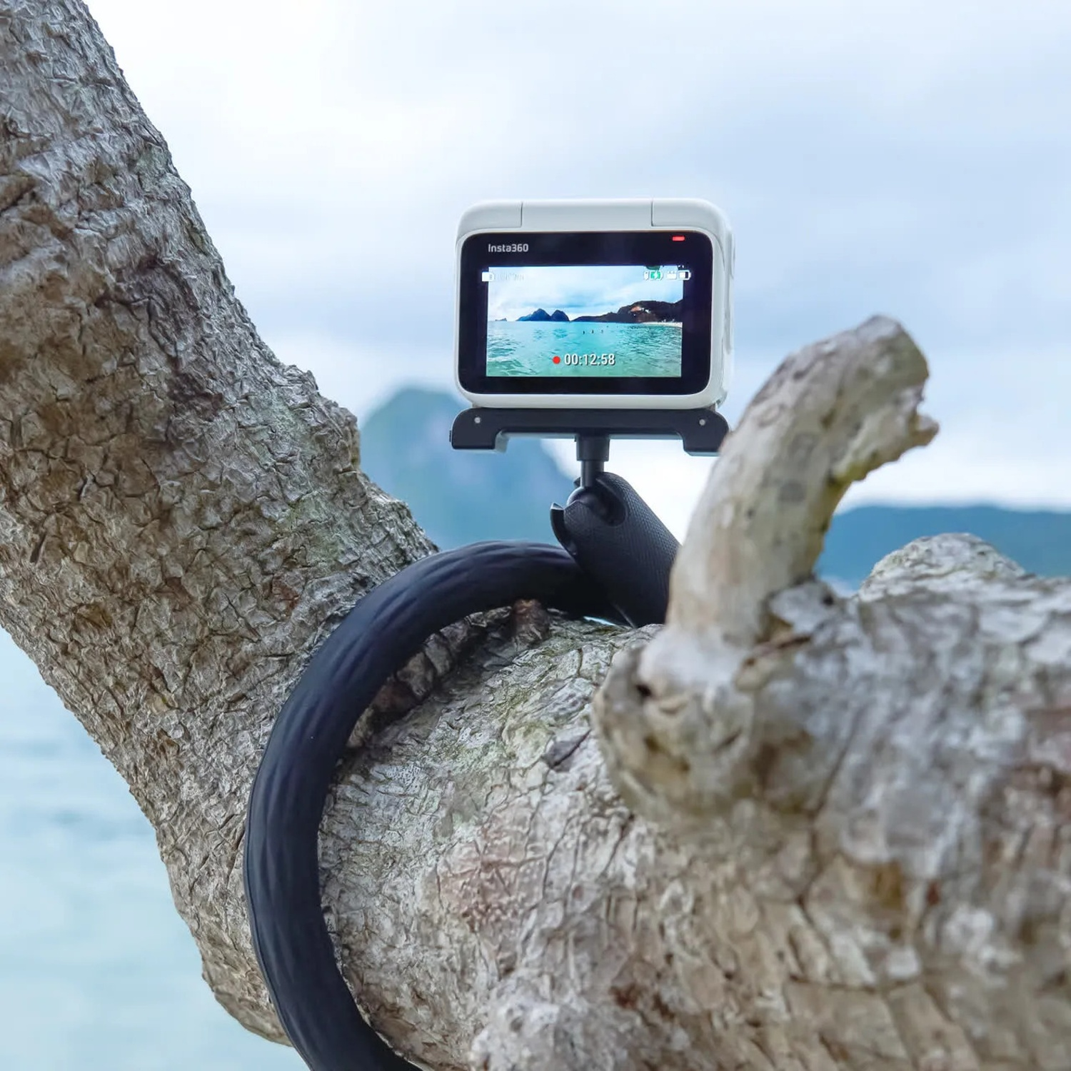 Una fotocamera Insta360 montata sul ramo di un albero, che mostra una scena di spiaggia sul suo schermo.