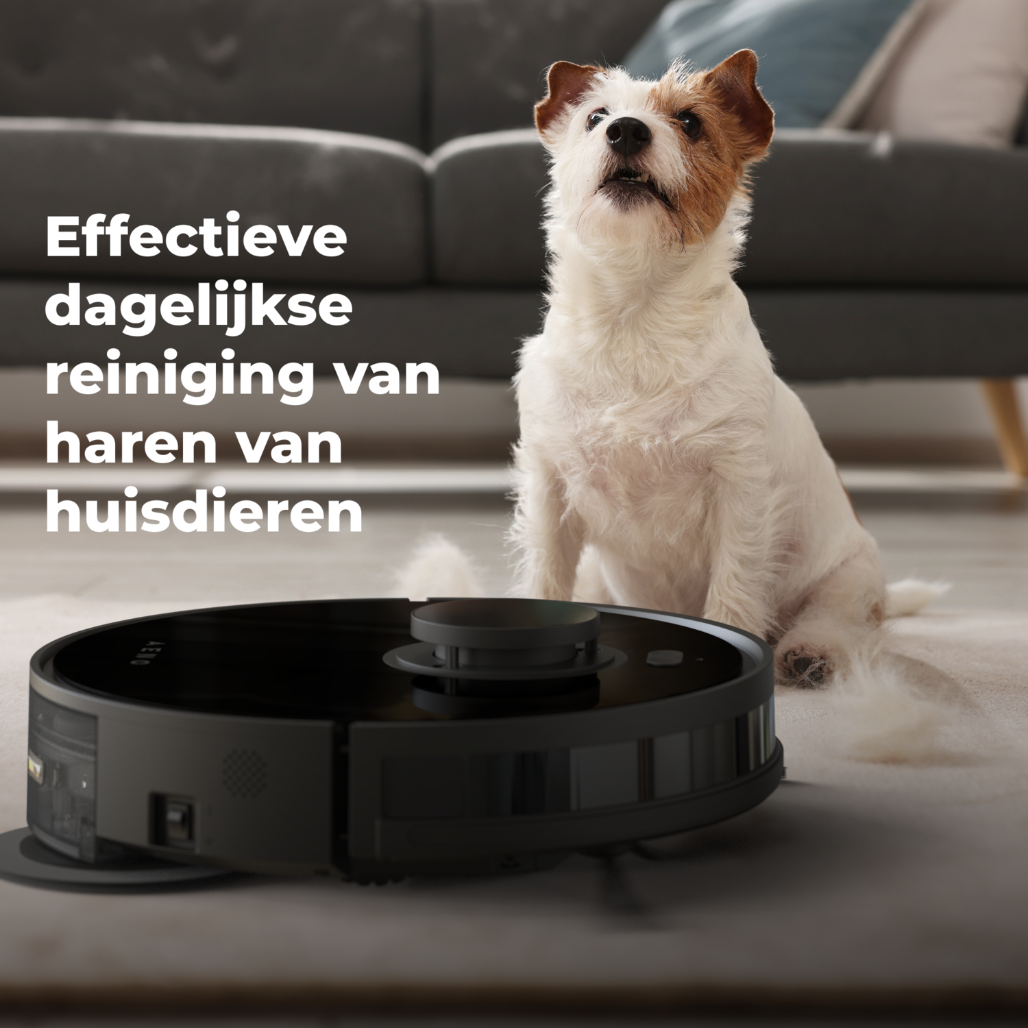 Dog and robot vacuum cleaner on carpet, text 'Effective daily cleaning'.
