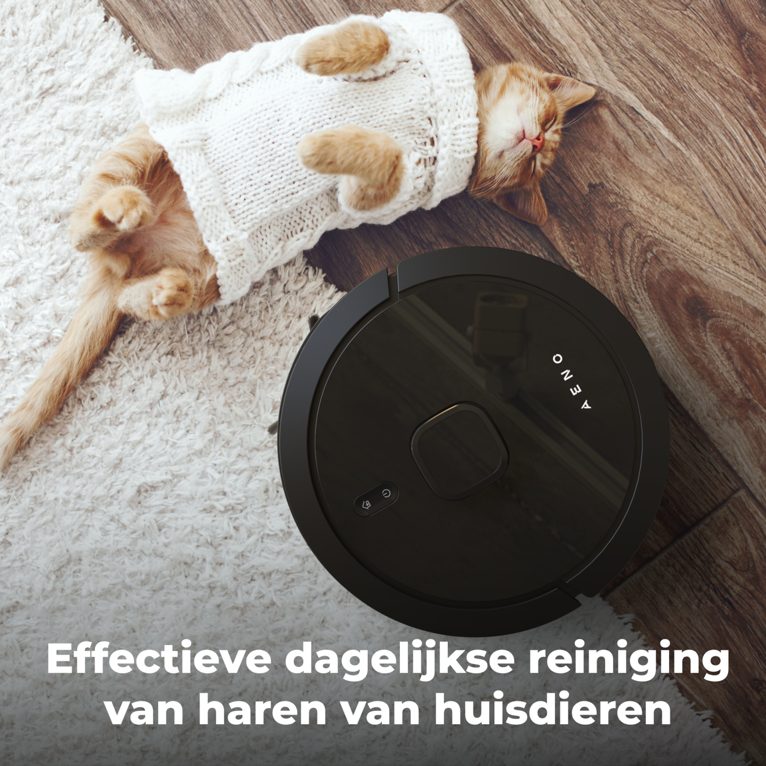 Cat sleeping on a white rug with a black robot vacuum cleaner nearby. Text in Dutch below.