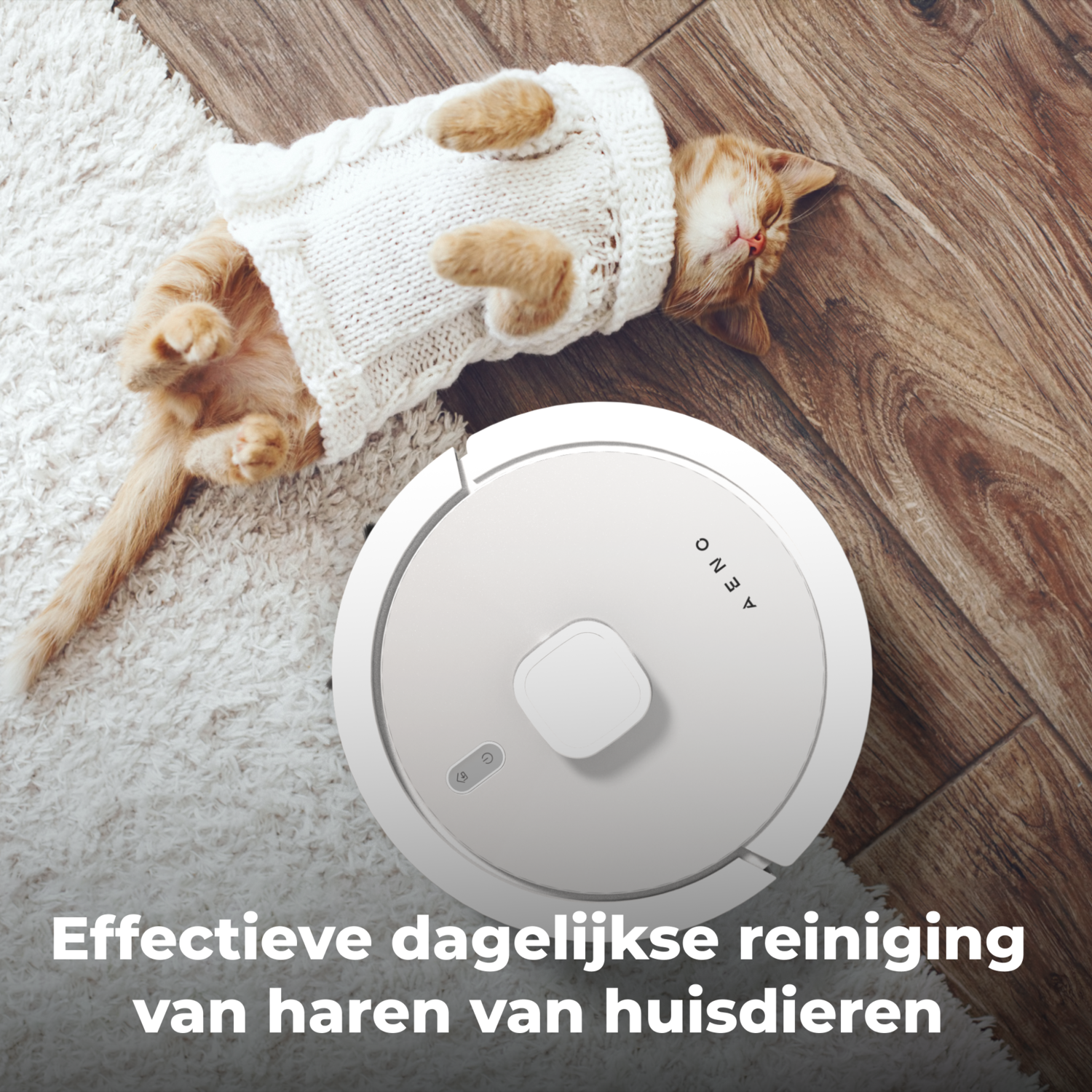 A cat in a sweater and a white robot vacuum cleaner on a carpet and wood floor.