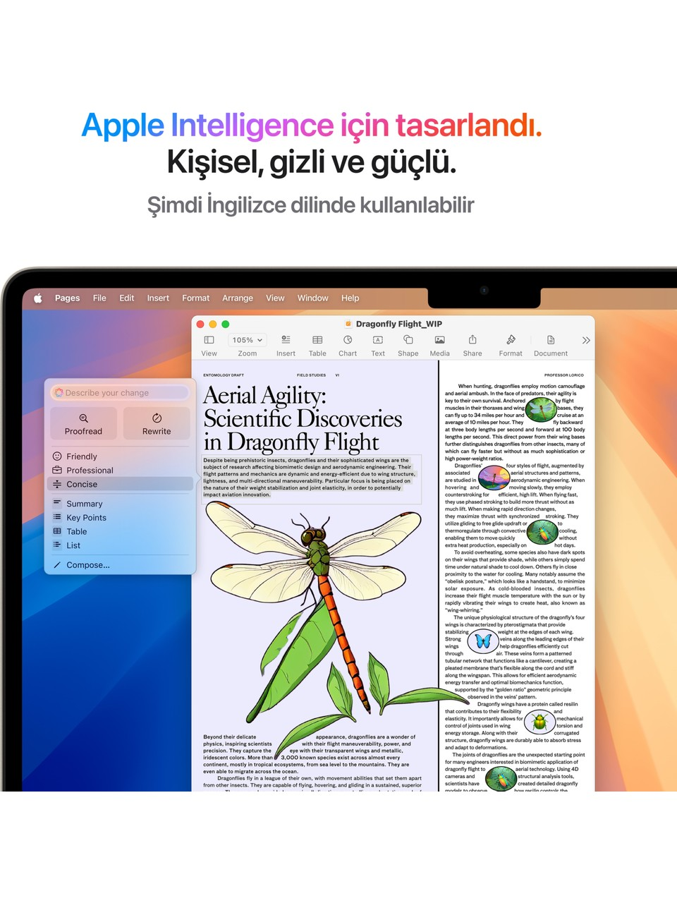 Apple yazılımını gösteren dizüstü bilgisayar ekranı ve bir masada bir belge.