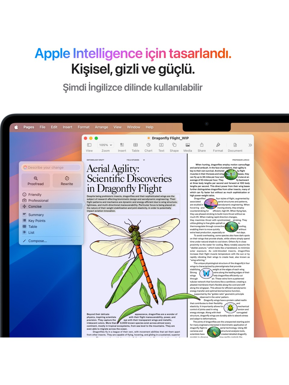 Apple tasarımını ve yusufçuk illüstrasyonu içeren bir belgeyi gösteren bir dizüstü bilgisayar ekranı.