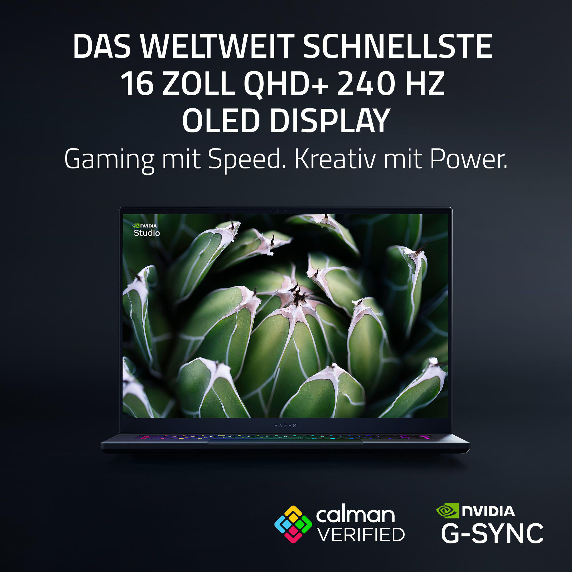 Laptop-Bildschirm zeigt grüne Pflanze. Text: Schnellstes 16-Zoll OLED-Display der Welt.