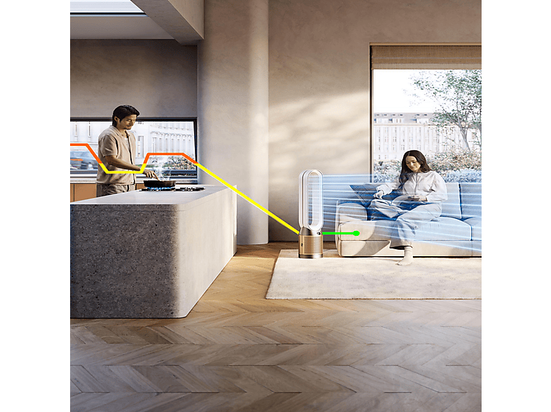 DYSON TP12 Purifier Cool PC2 De-Nox Luftreiniger Weiß/Gold (40 Watt, Raumgröße: 81 m³, HEPA-13-Filter mit Glasfasern und Kaliumcarbonat)