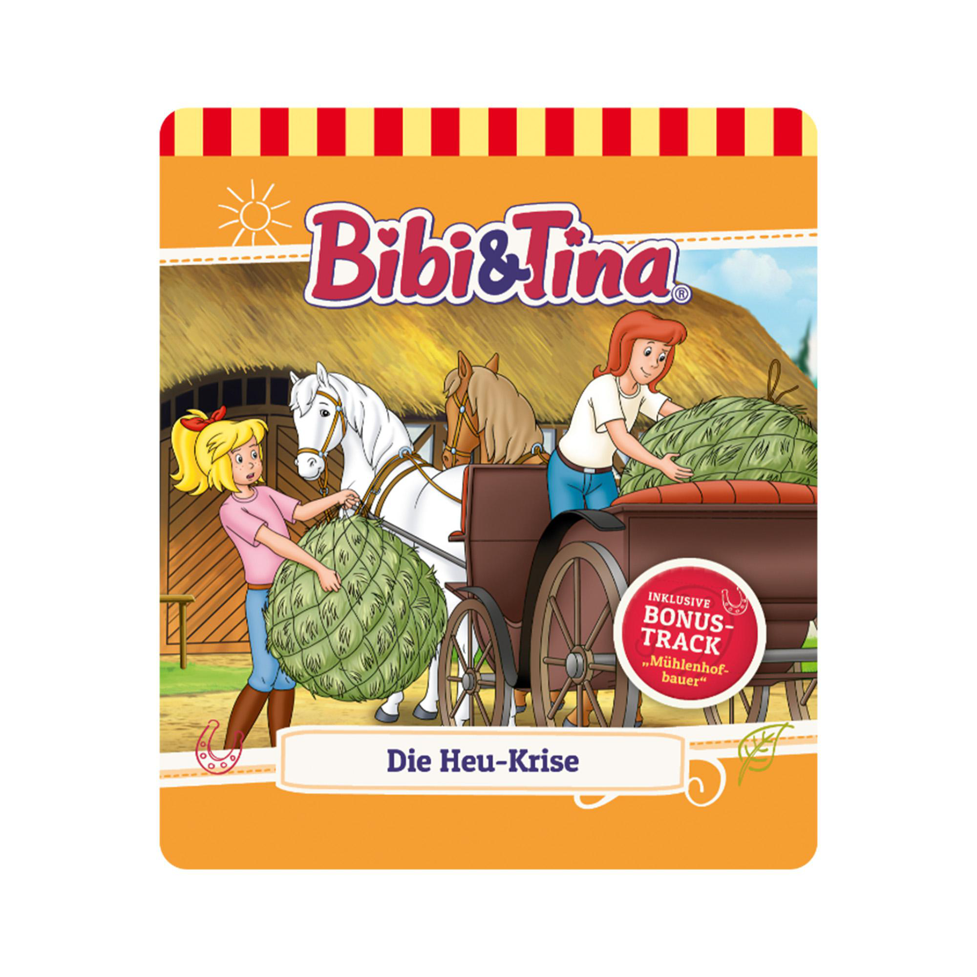 Cover eines Kinderbuchs; zwei Mädchen und Pferde auf einem Feld.