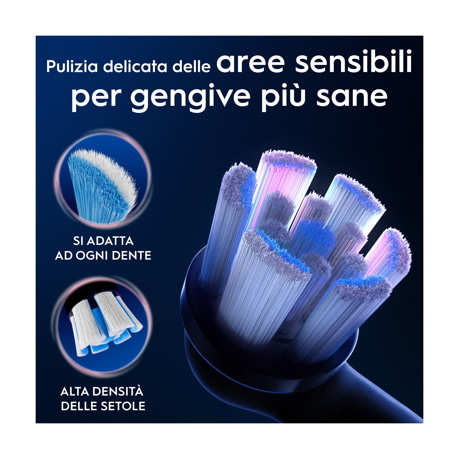 Primo piano di una testina di spazzolino con setole blu e una sezione bianca.