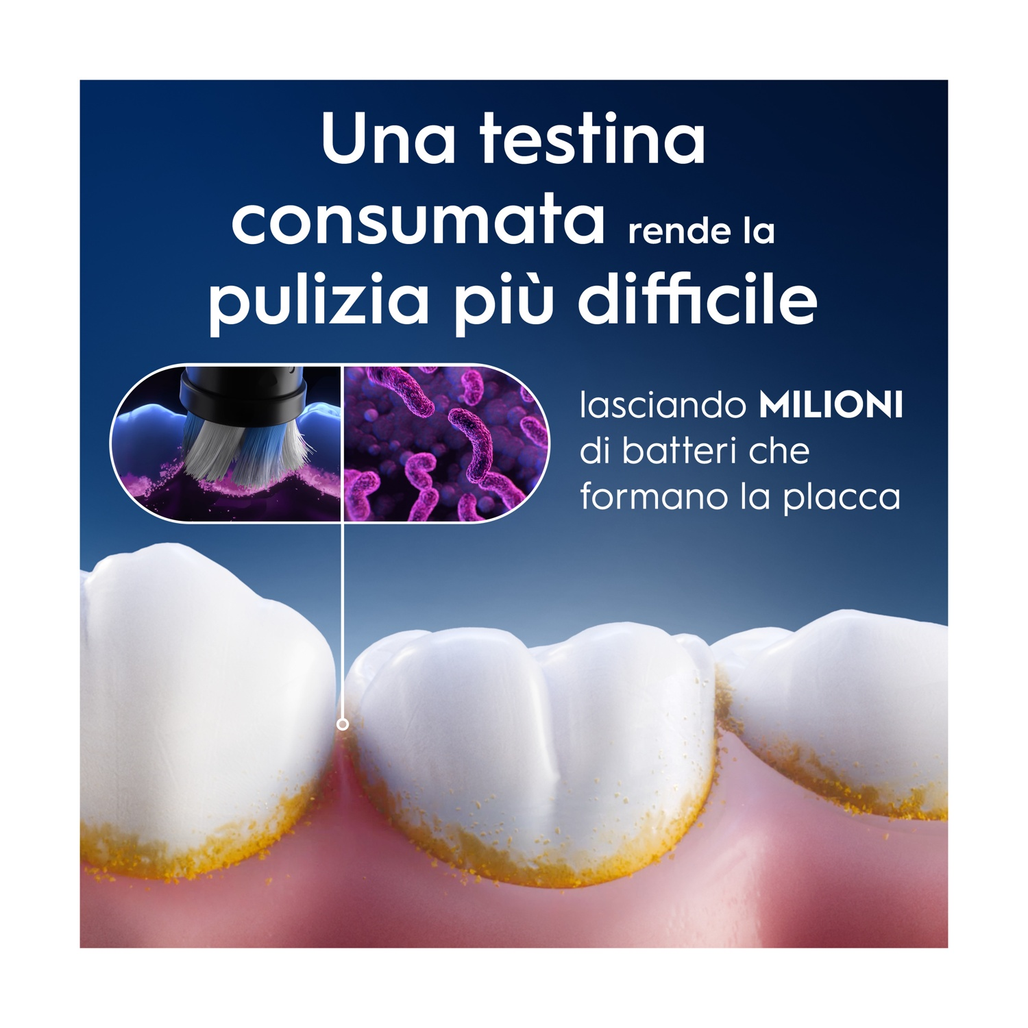Primo piano di denti, spazzolino e immagini di batteri, e il testo italiano.
