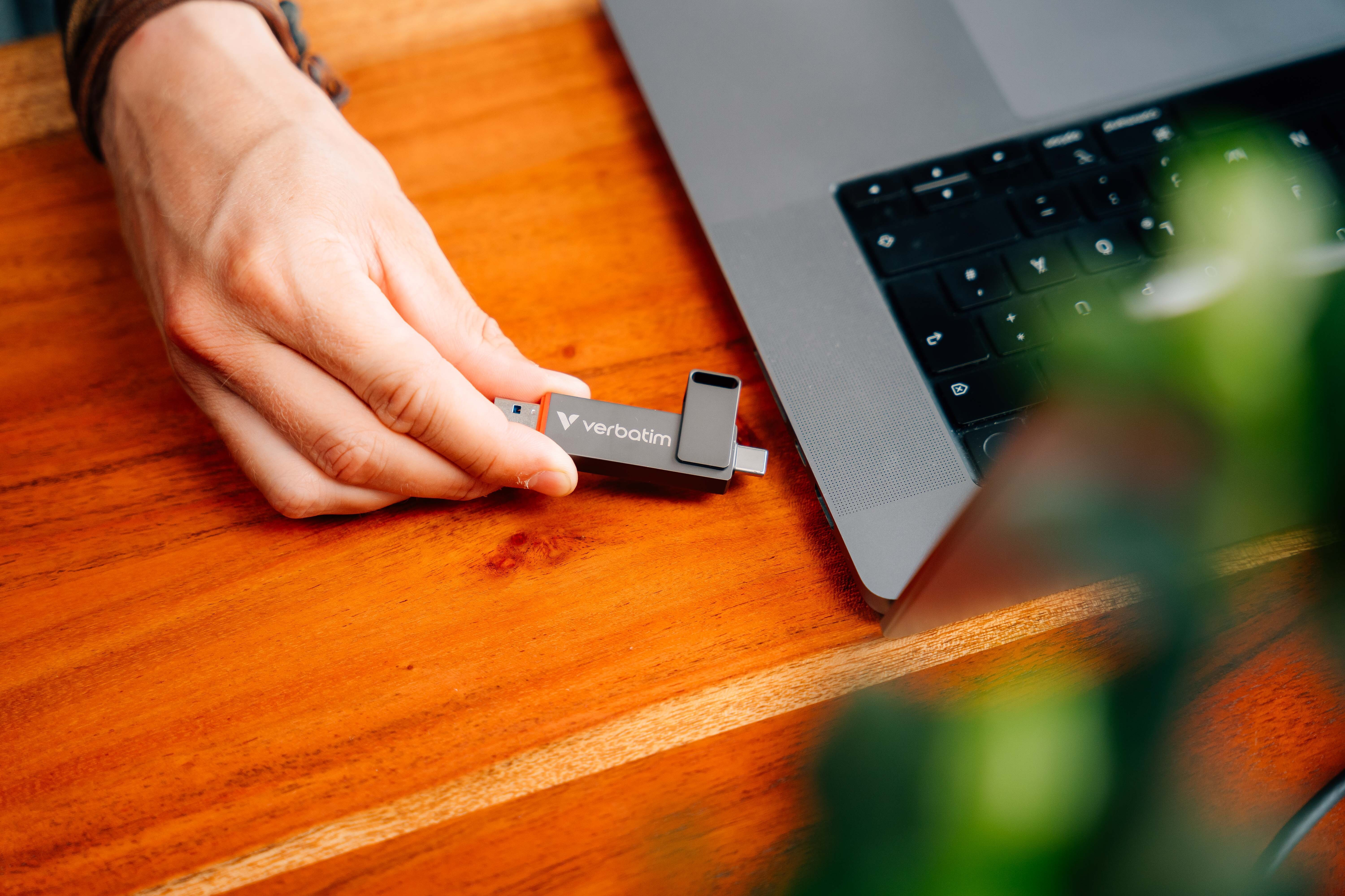 Eine Hand steckt einen schwarzen USB-Stick in einen Laptop auf einem Holztisch in der Nähe einer Pflanze.