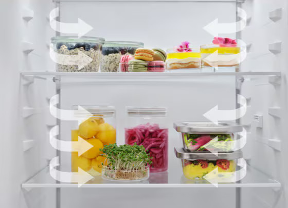 Wnętrze lodówki z produktami spożywczymi. Przezroczyste pojemniki zawierają owoce, warzywa i inne produkty.