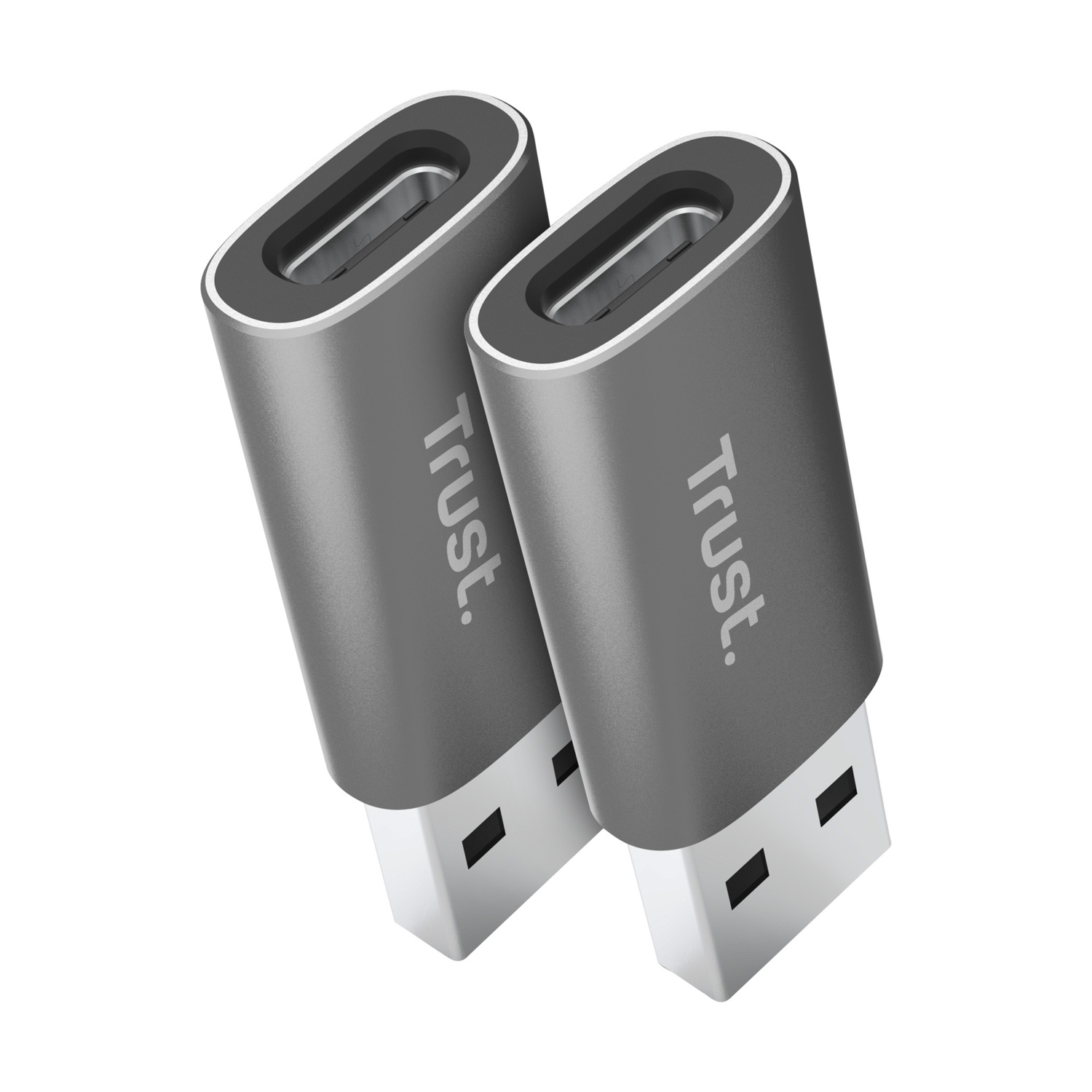 Due adattatori USB Trust. Colore grigio. Sfondo bianco. Vista angolata.