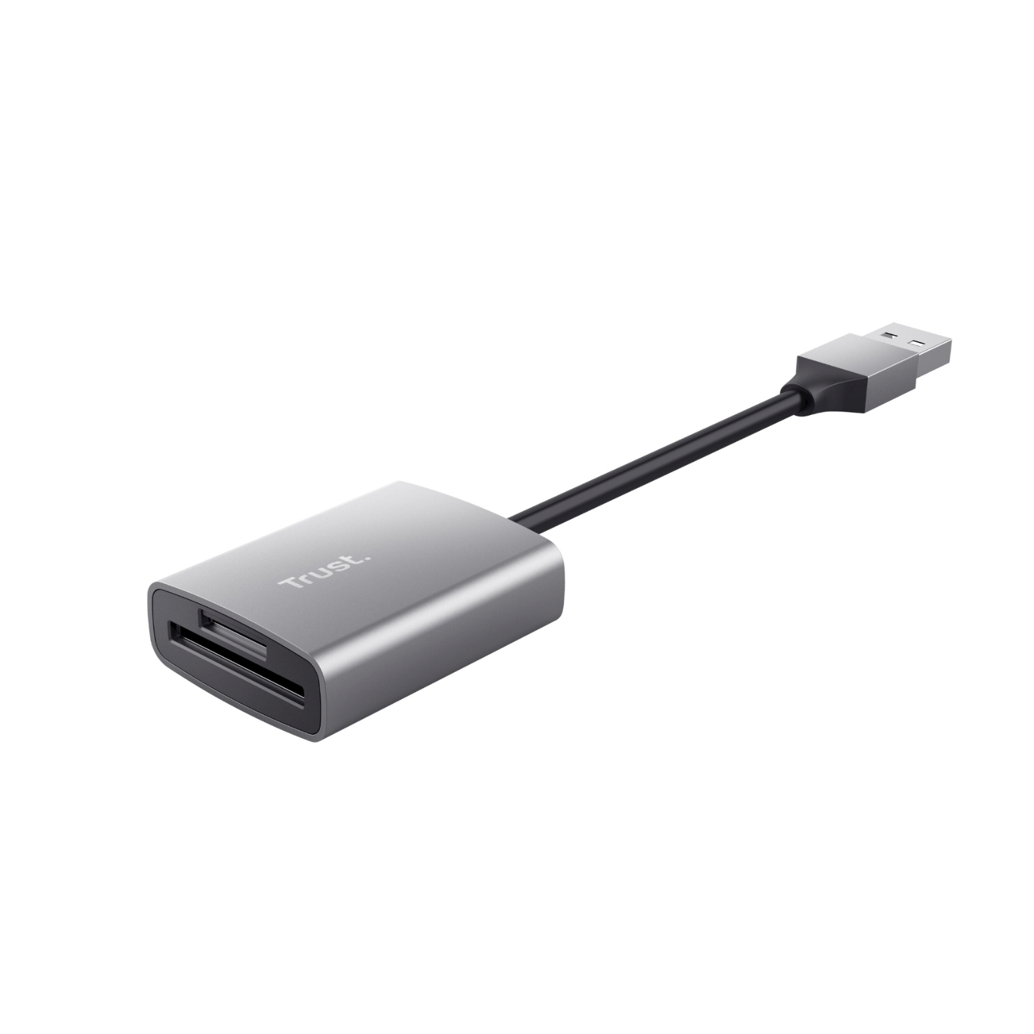 Lettore di schede argento con connettore USB. Sfondo bianco.