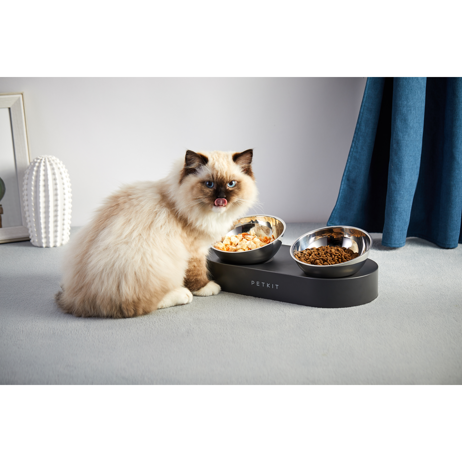 A fluffy cat eating from two bowls. One bowl has food, the other is empty. White background.
