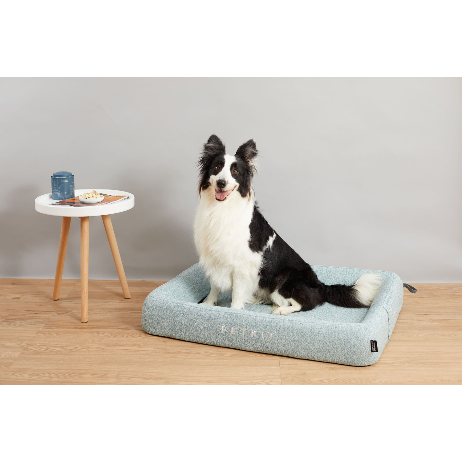Dog sits on a blue dog bed. A small table with a candle is to the left.