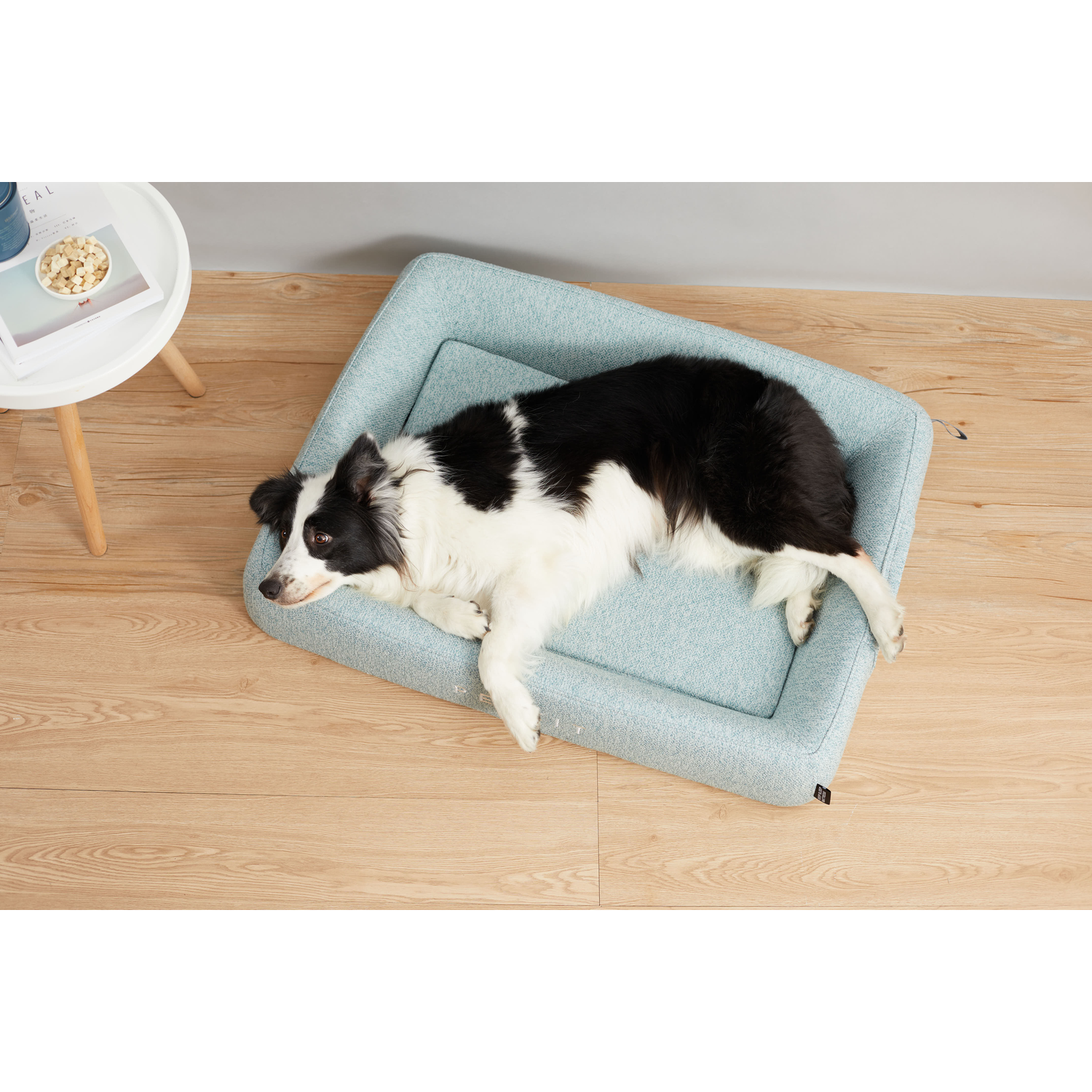 Zwart-witte hond op blauw hondenbed, op houten vloer, tafel en kom op de achtergrond.