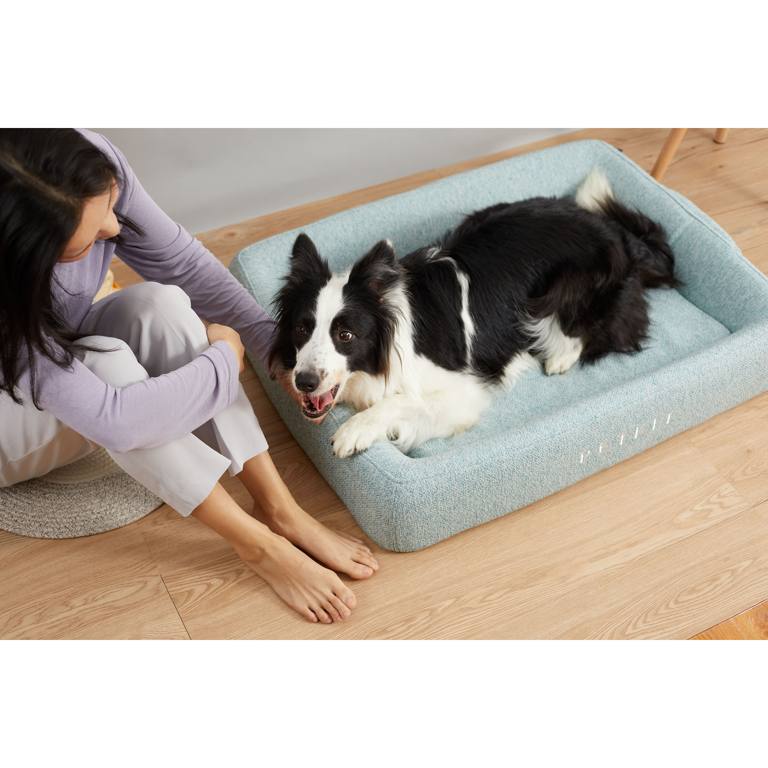 A woman petting a dog on a light blue dog bed.