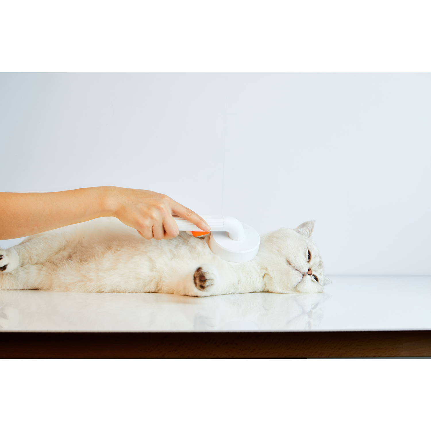 A person brushing a white cat with a white and orange pet brush.