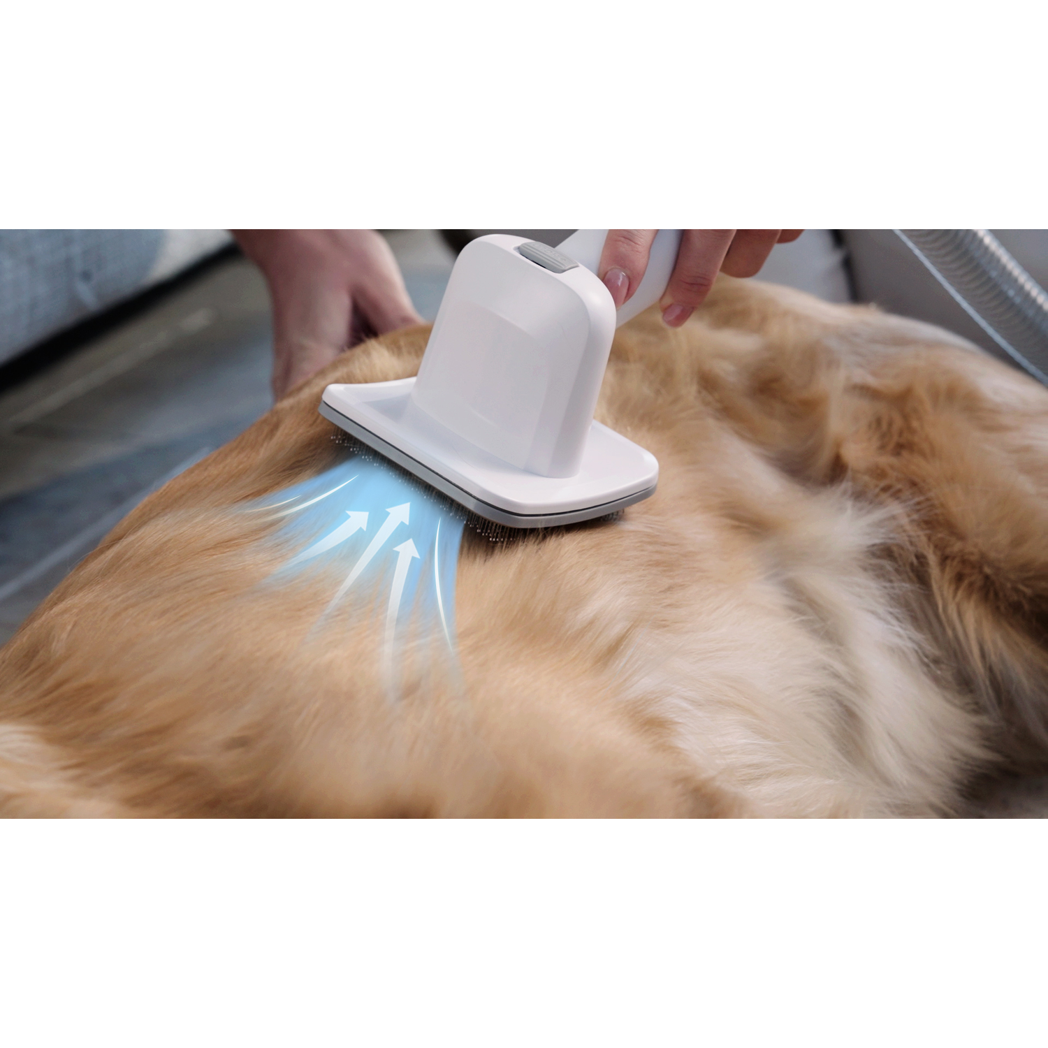 Person brushing a dog. The tool is white and is removing fur with blue arrows indicating airflow.