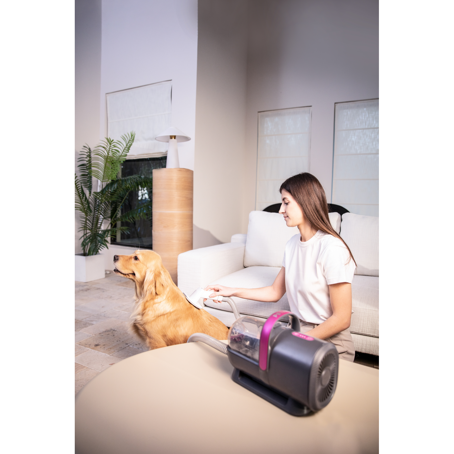 Vrouw verzorgt een golden retriever met een stofzuiger. Ronde tafel en witte bank op de achtergrond.
