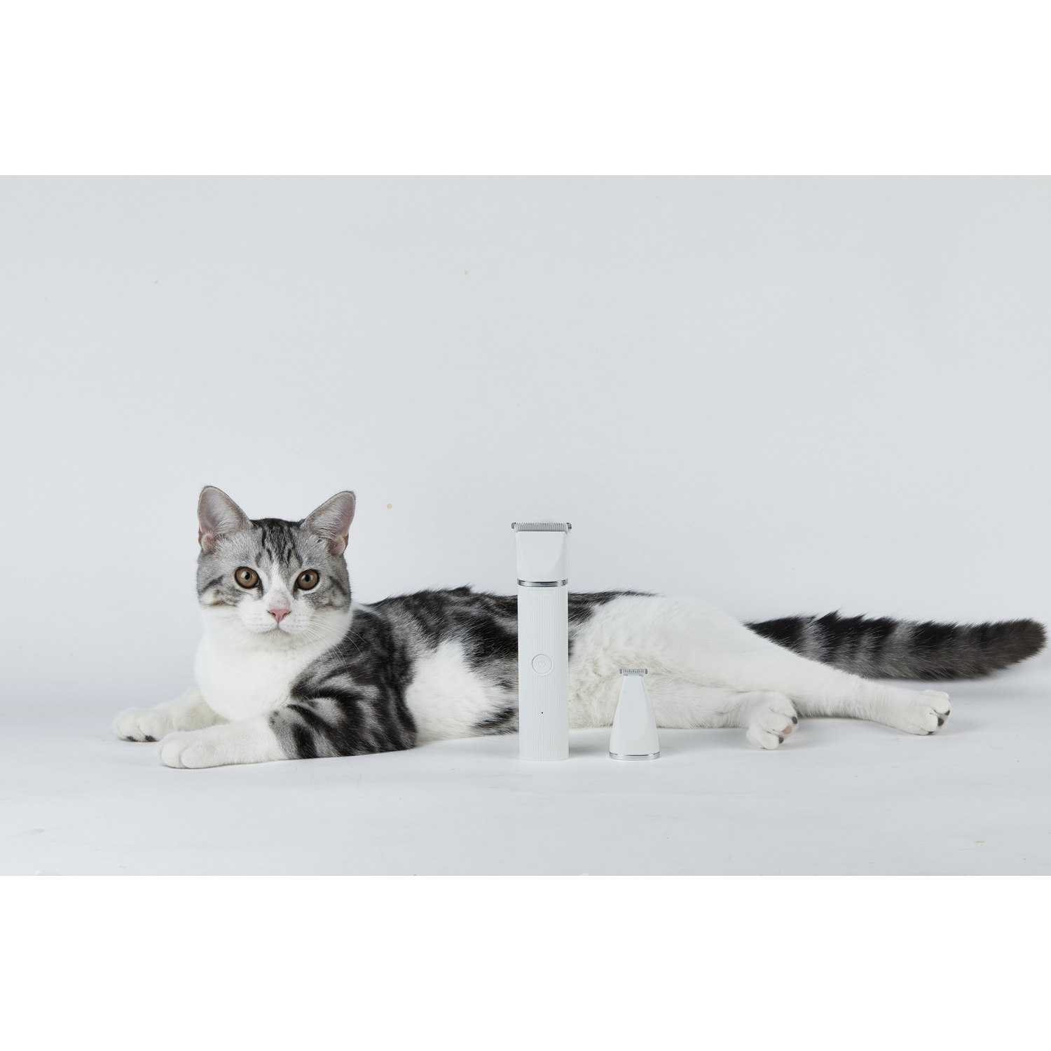A cat next to pet grooming clippers. The cat is white and gray, laying on white background.