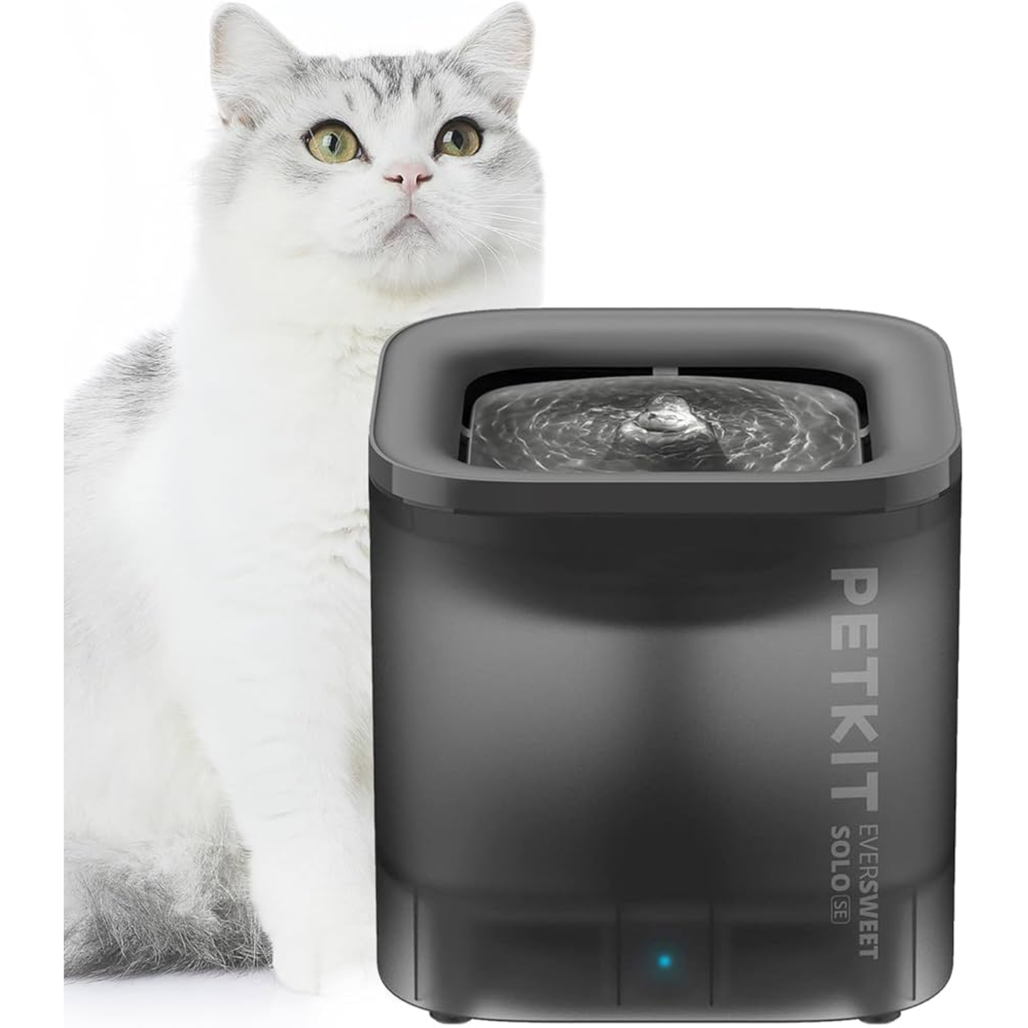 Een kat kijkt omhoog bij een PETKIT Eversweet Solo SE waterfontein, zwarte kleur.