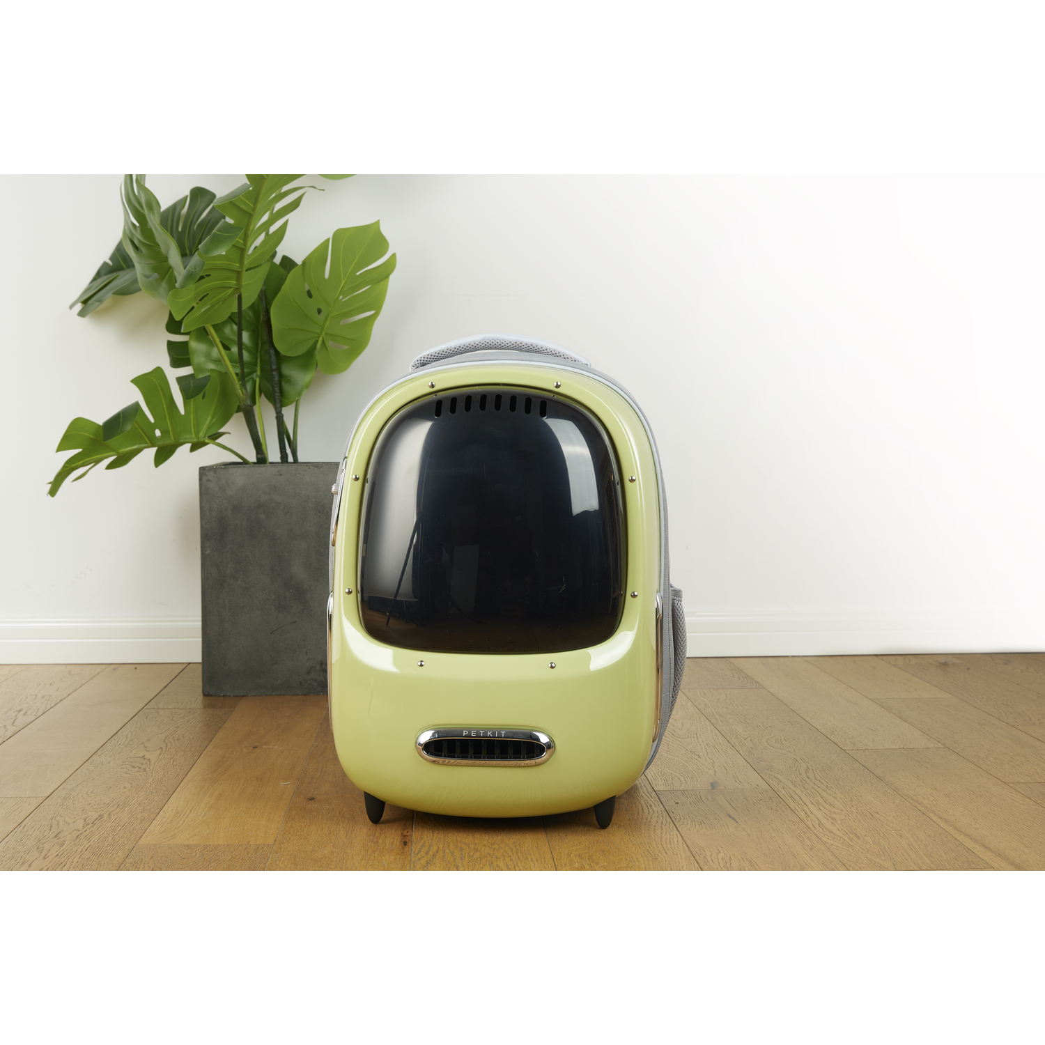 A green and white pet carrier sits on a wood floor, beside a tall plant in a dark pot.