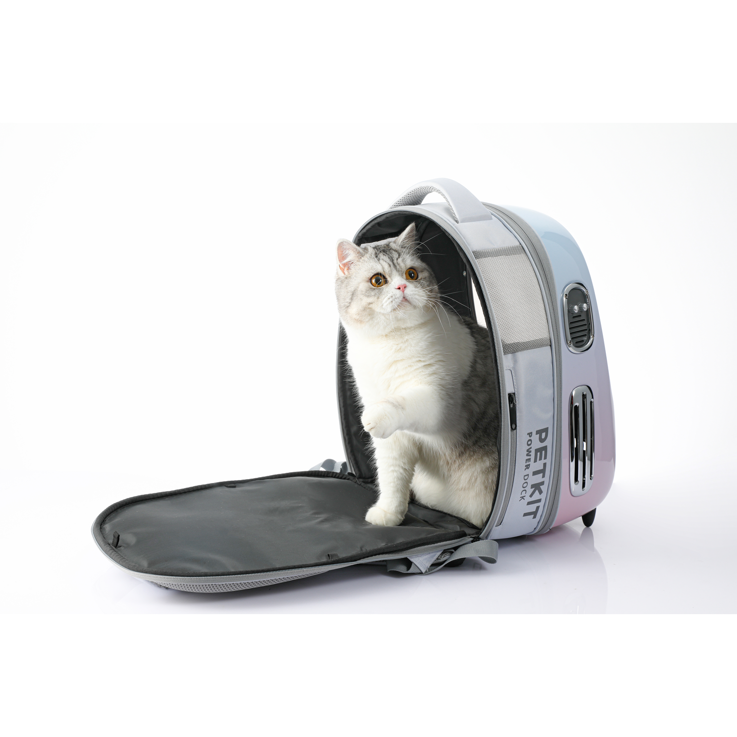 A cat inside a PETKIT pet carrier backpack.