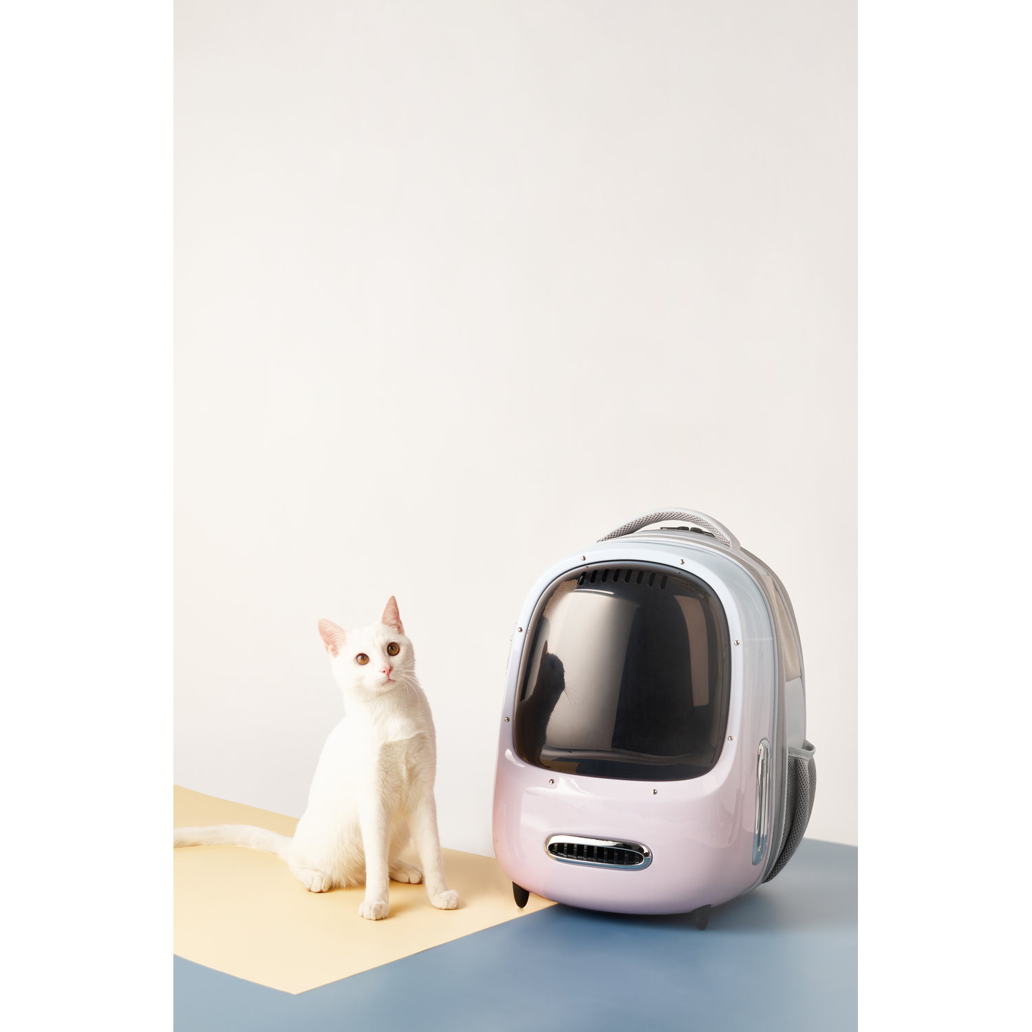 White cat sitting next to a pink and blue pet carrier, with a bubble window.