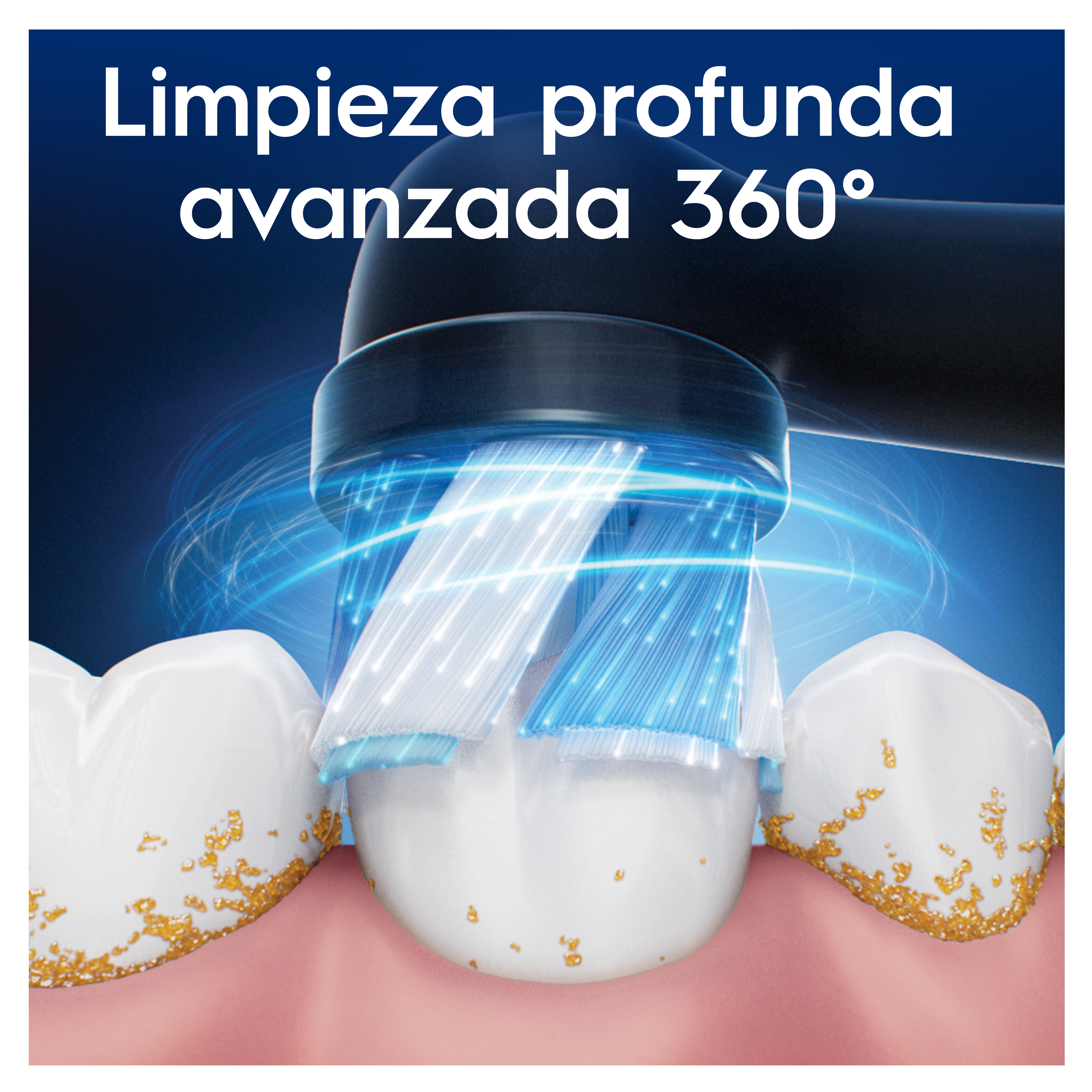 Cepillo de dientes eléctrico limpiando dientes. Cerdas azules y blancas, vista de cerca, acción.