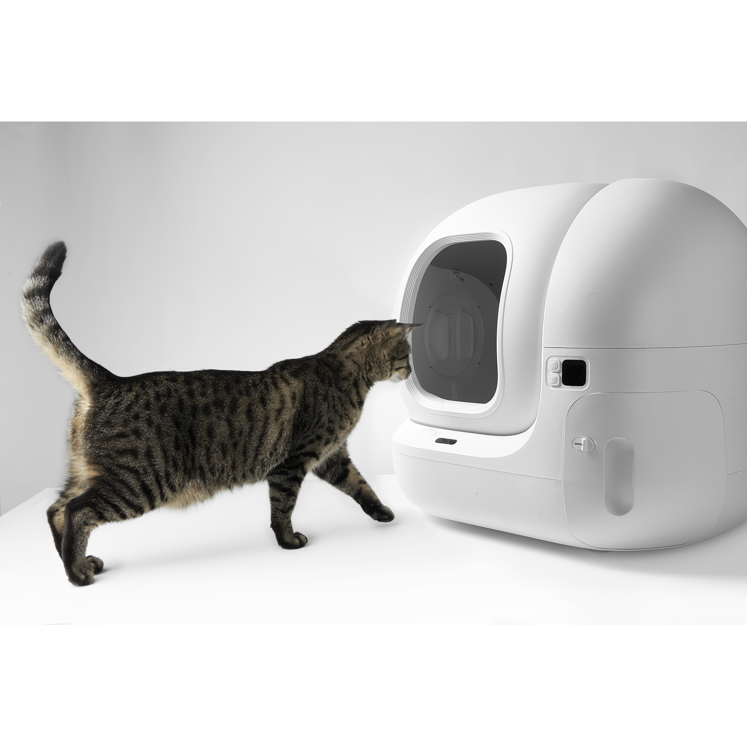 A cat is sniffing a white, self-cleaning litter box. The cat is brown tabby, and the box is large.