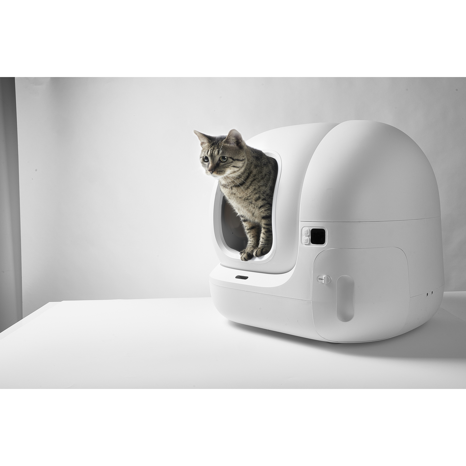 Een kat die uit een witte automatische kattenbak kijkt op een witte tafel, met een witte achtergrond.