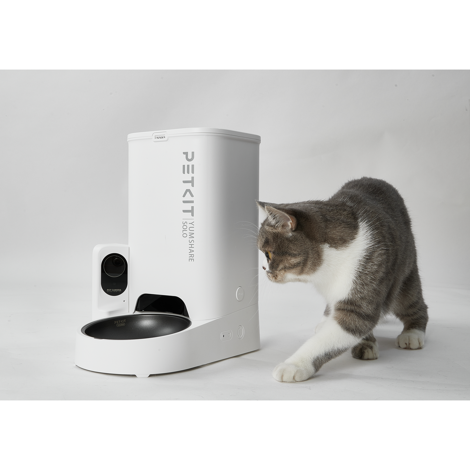 A white PETKIT Solo feeder and camera, with a grey and white cat approaching the device.