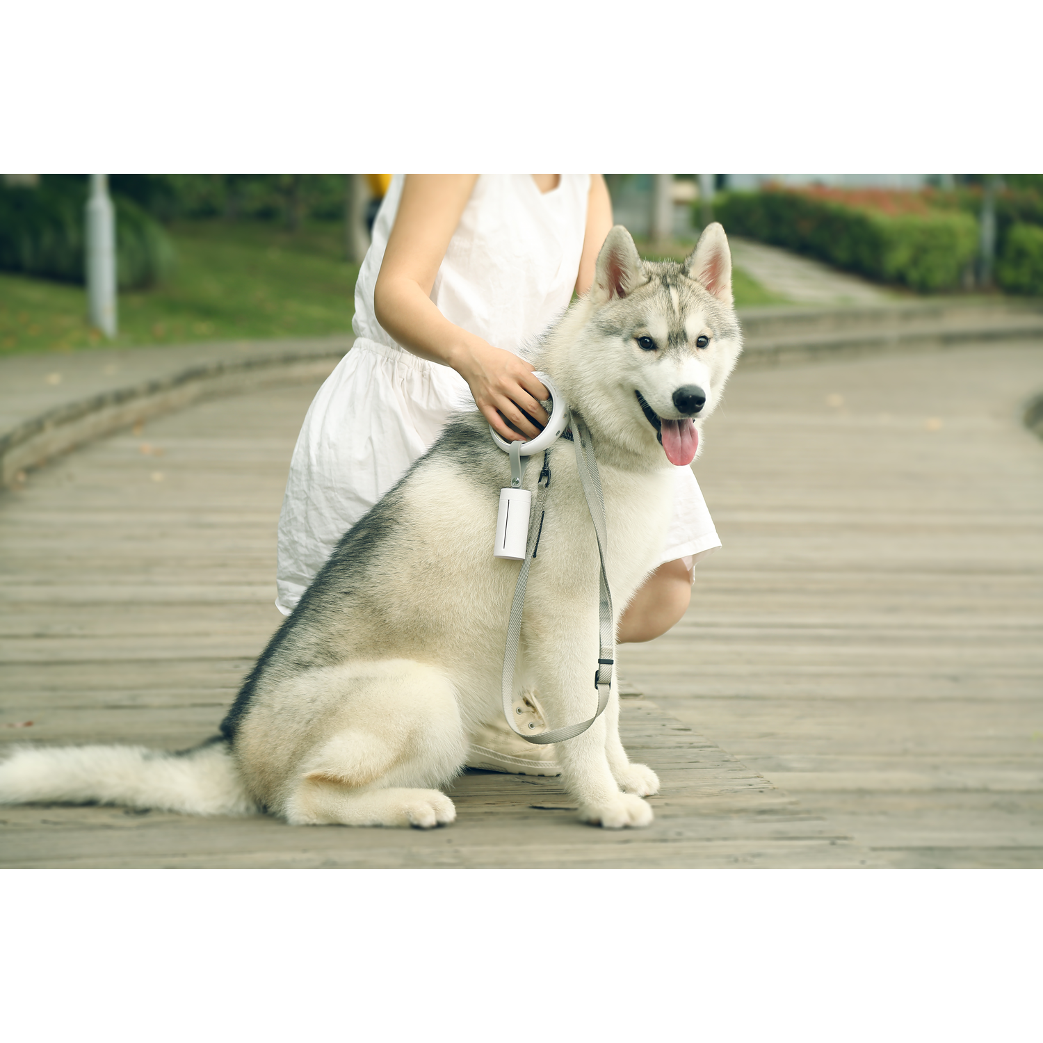 Une personne s'agenouille à côté d'un chien husky sur un chemin en bois, tenant une laisse et une étiquette.