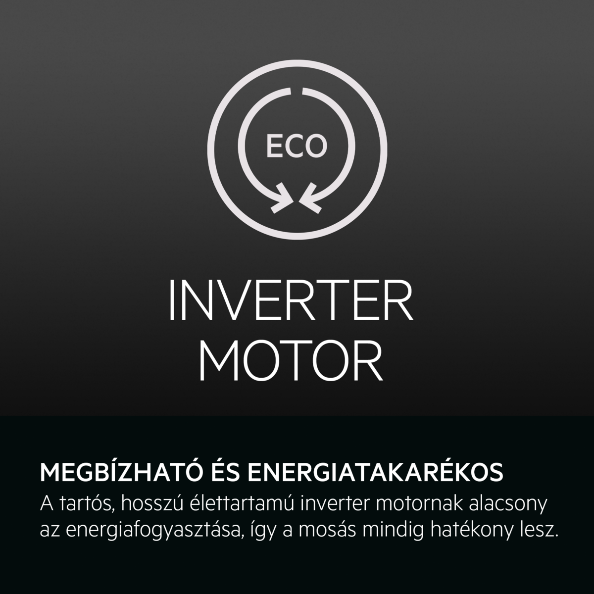Fehér ikon ECO-val és nyilakkal, felirat: INVERTER MOTOR, alatta szöveg.