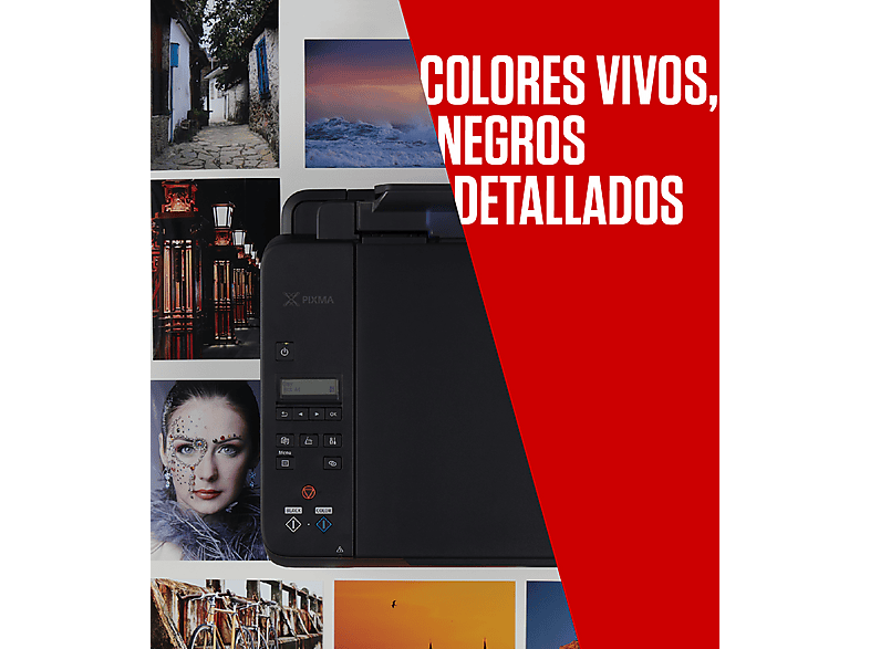Vista 3