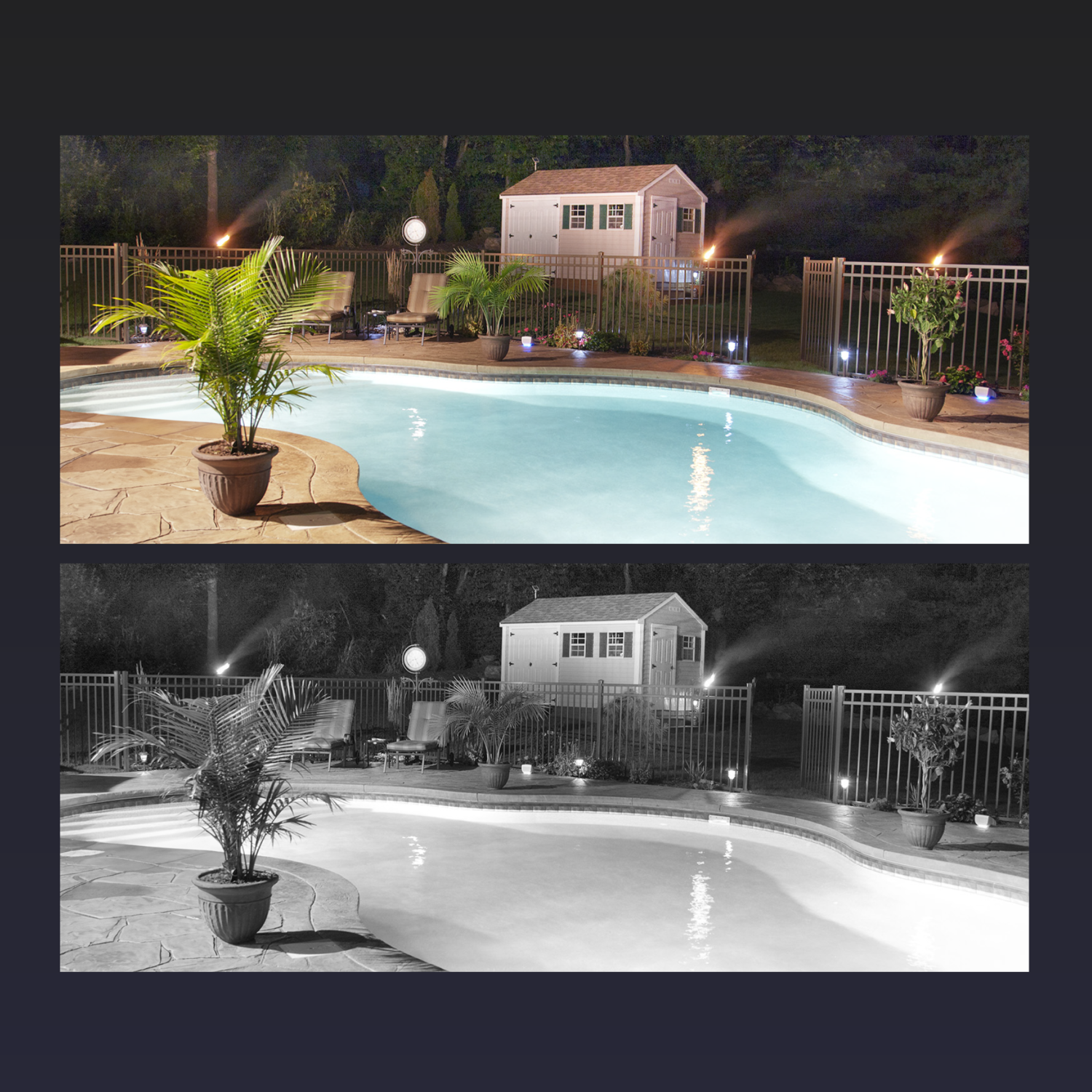 Night view of a pool. Palm tree, shed, and plants are around it.