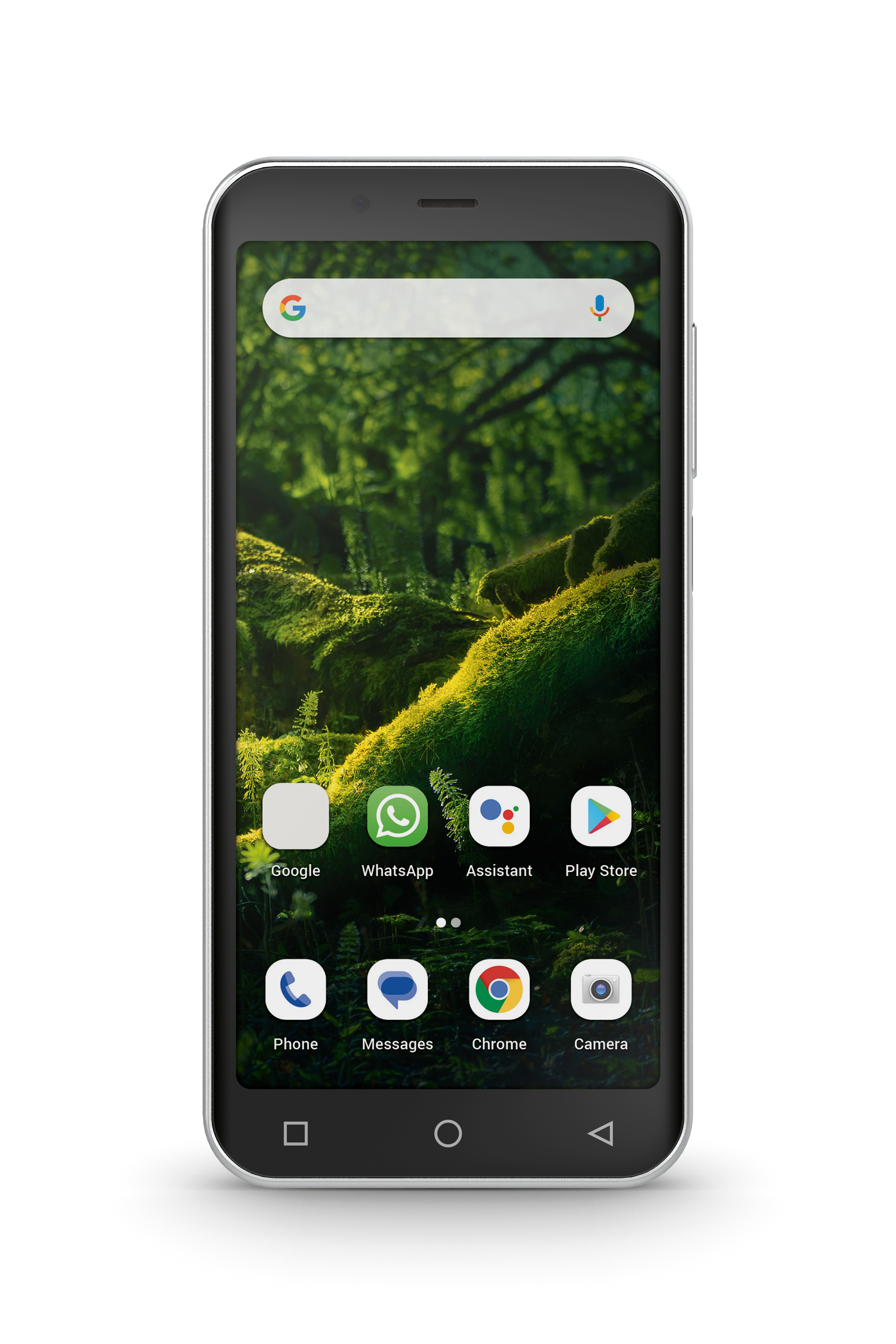 Ein Smartphone mit Symbolen für Google, WhatsApp und andere Apps auf moosigem Hintergrund.