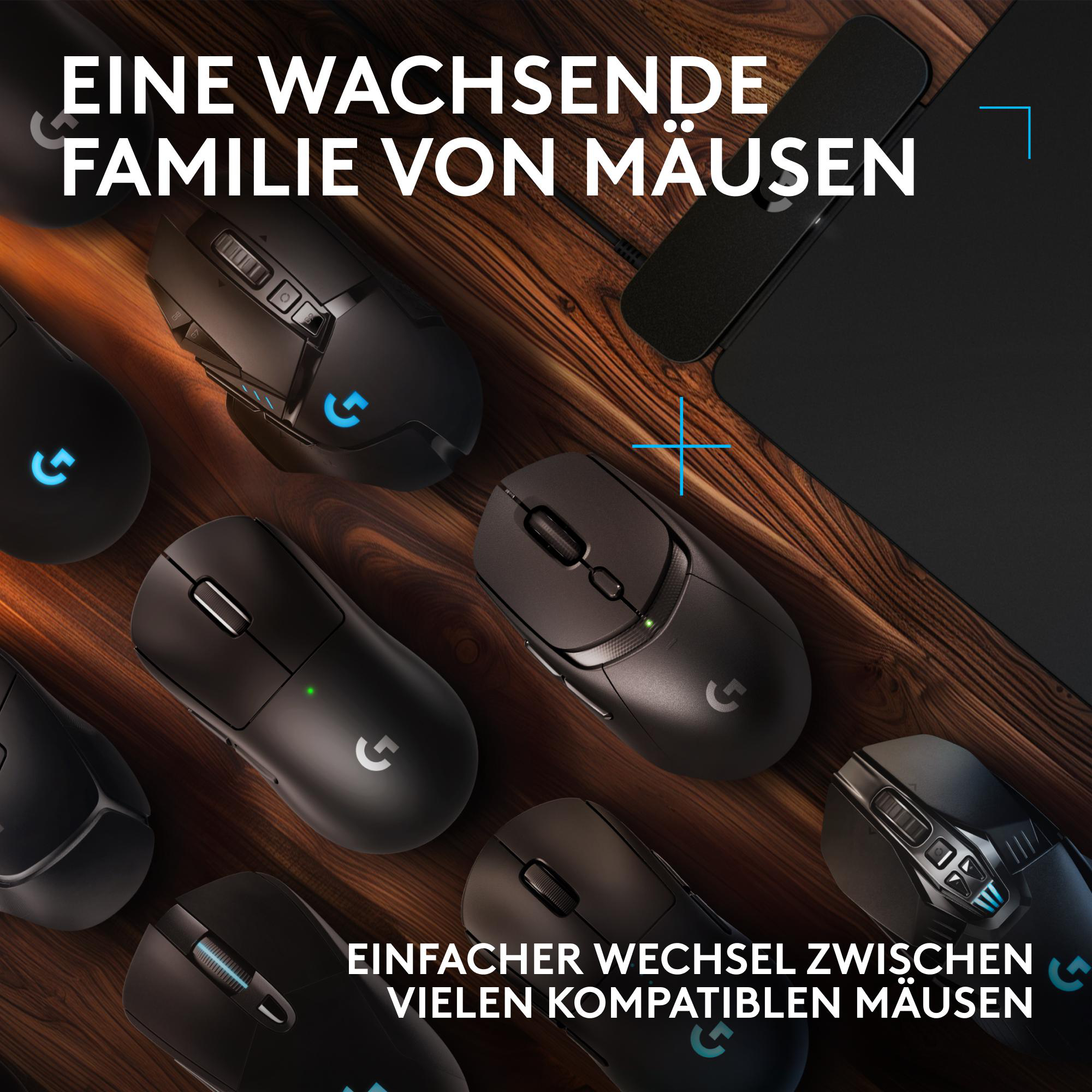 Eine Sammlung schwarzer Computermäuse mit Holzgrund und Text in deutscher Sprache.
