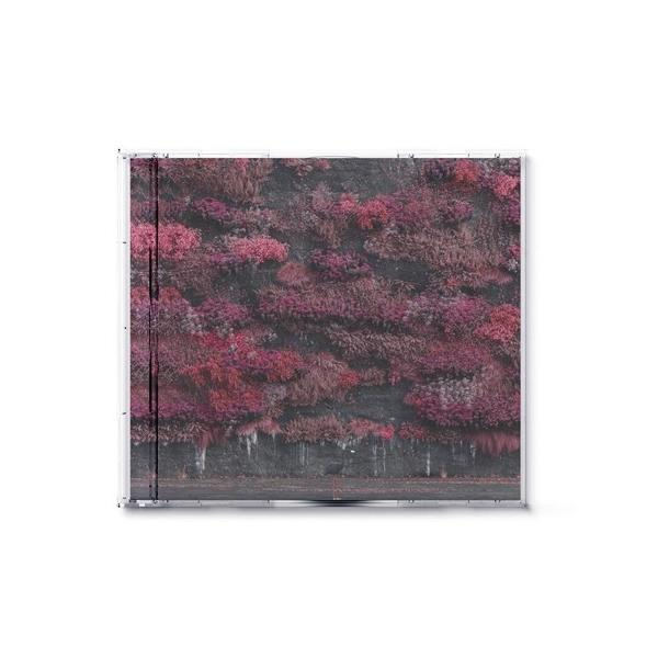 Un boîtier de CD avec une couverture présentant un fond sombre et texturé avec de petites plantes roses et rouges.