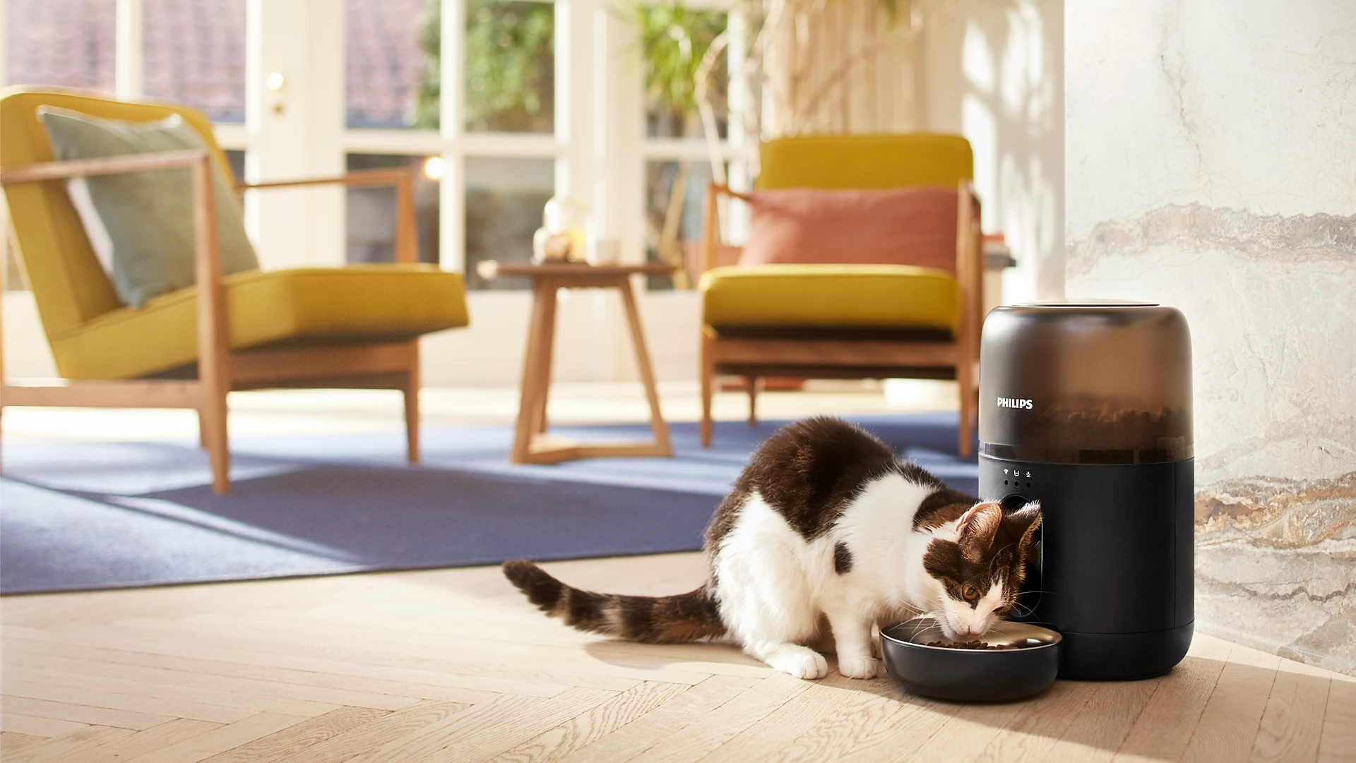 Eine Katze, die aus einer Schüssel neben einem schwarzen Philips-Futterautomaten in einem Heim isst.