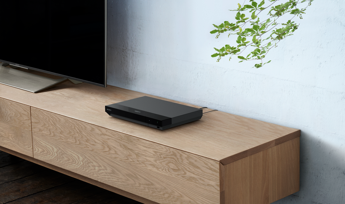 Reproductor de DVD negro sobre un mueble de madera. TV y planta verde en el fondo.