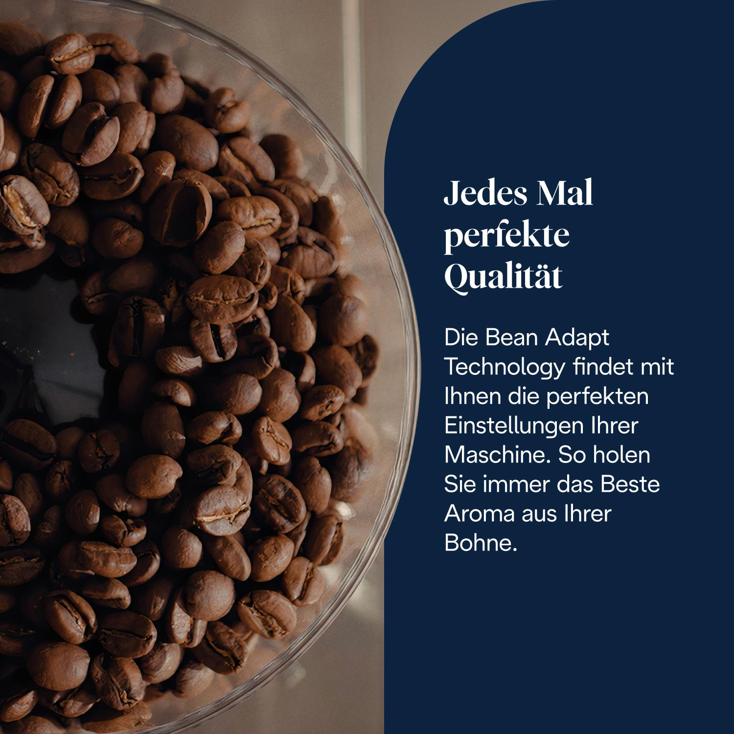 Nahaufnahme von Kaffeebohnen in einem transparenten Behälter. Text auf Deutsch auf blauem Hintergrund beschreibt die Qualität.
