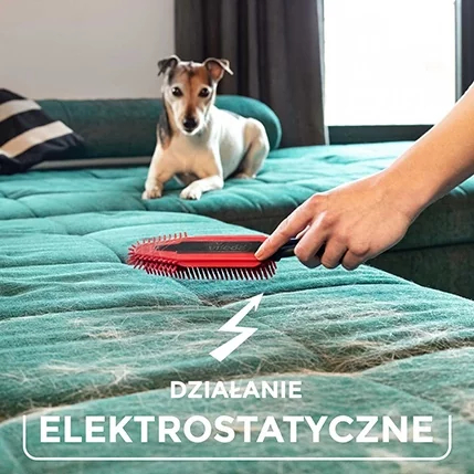 Pies na kanapie z szczotką demonstrującą działanie elektrostatyczne.