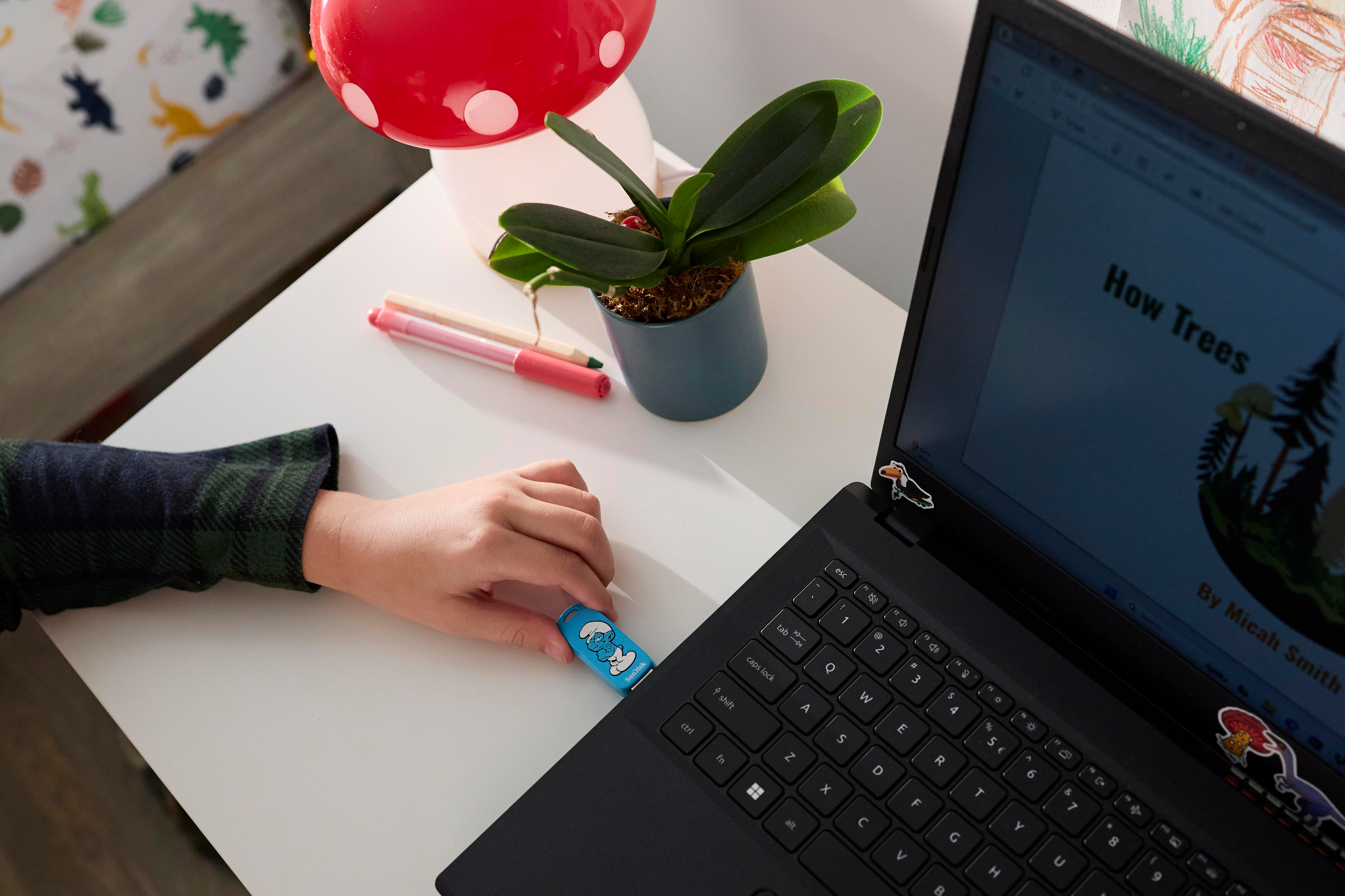 Eine Person steckt einen USB-Stick in einen Laptop. Pflanze und Lampe im Hintergrund.