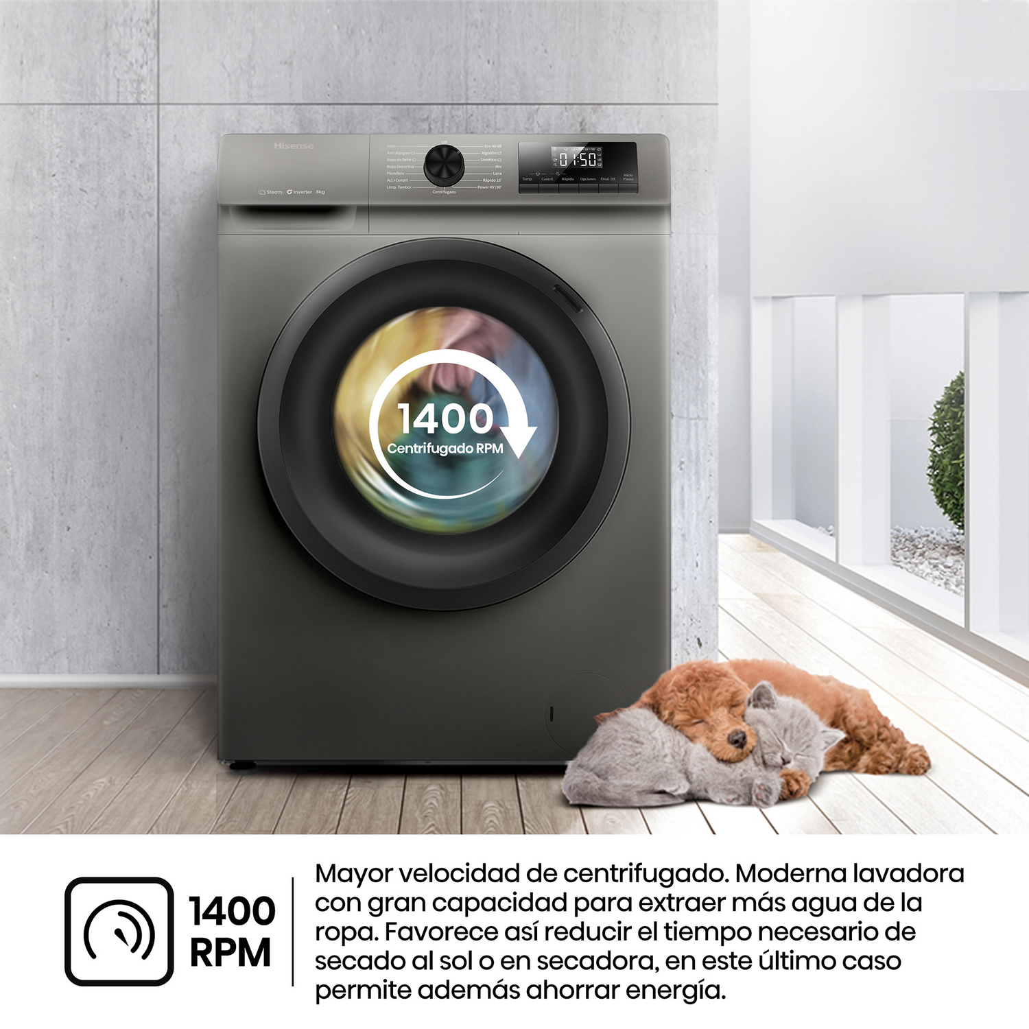 Lavadora con pantalla digital. Dos perros durmiendo están frente a la máquina.